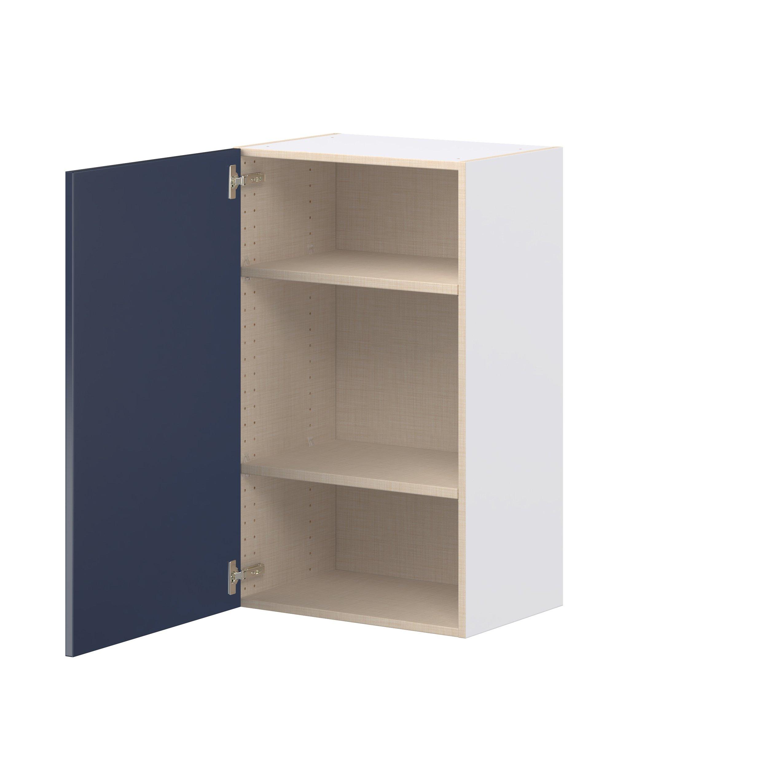 Peachtree 21 in. Painted Midnight Blue Door Wall Cabinet