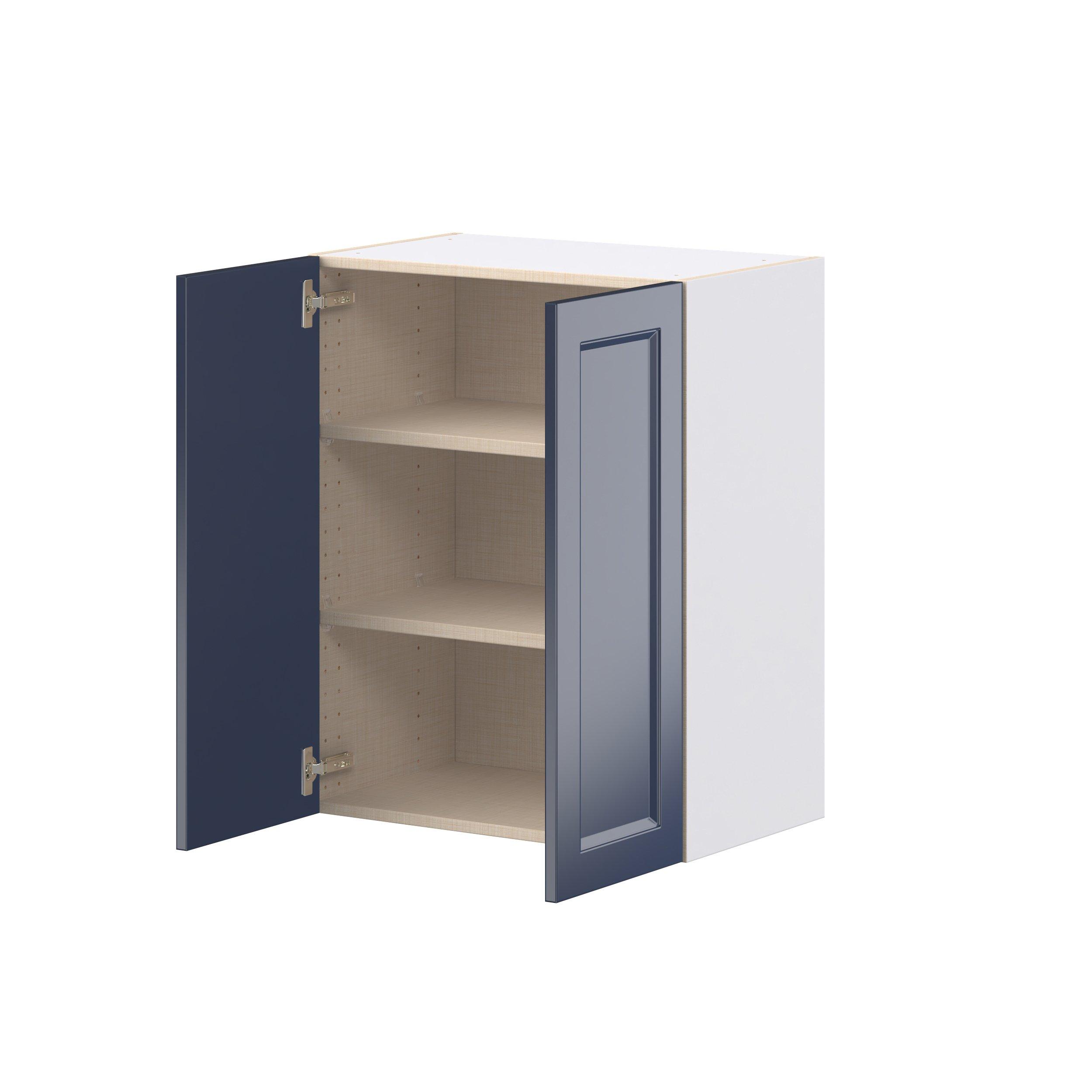 Peachtree 24 in. Painted Midnight Blue Door Wall Cabinet