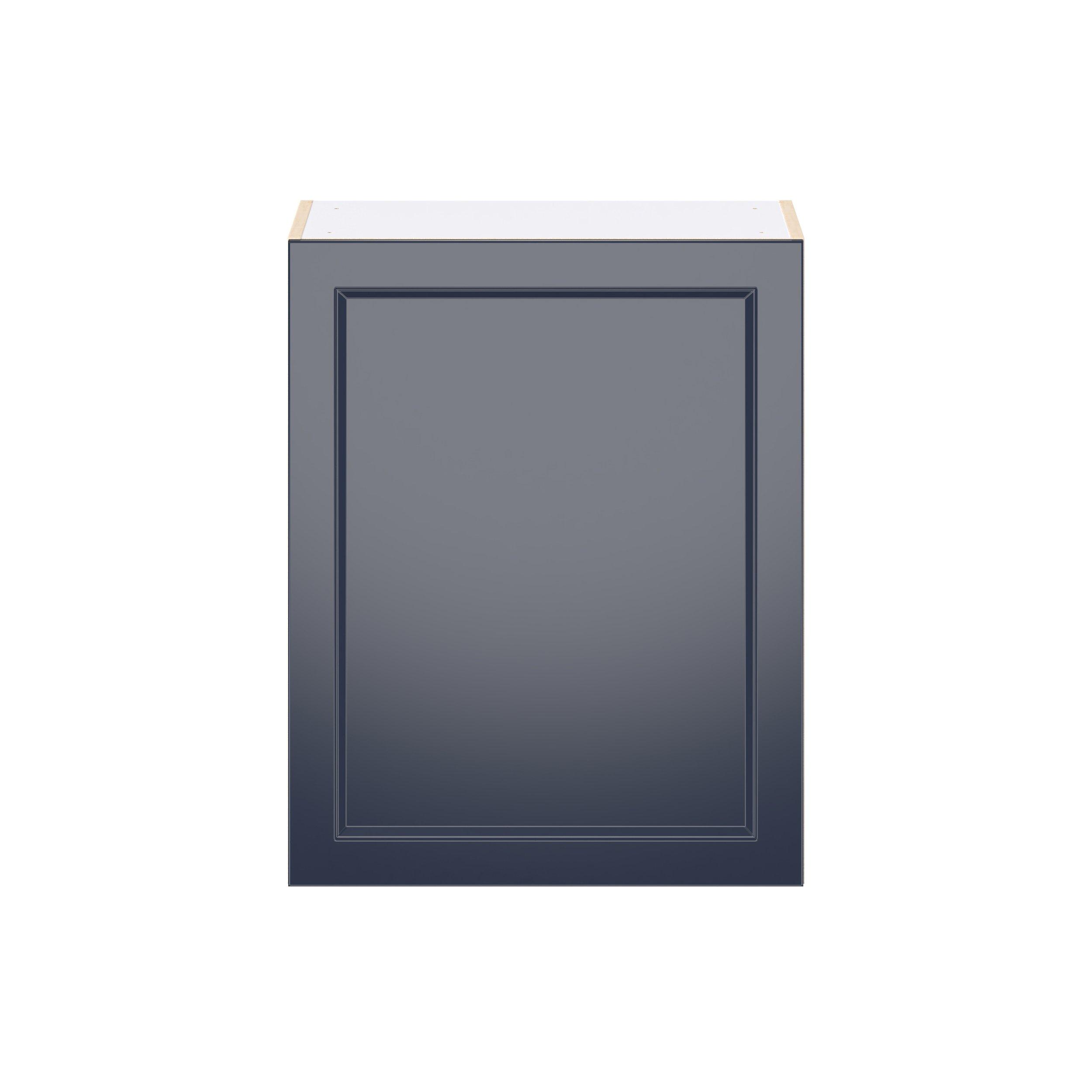 Peachtree 24 in. Painted Midnight Blue Door Wall Cabinet