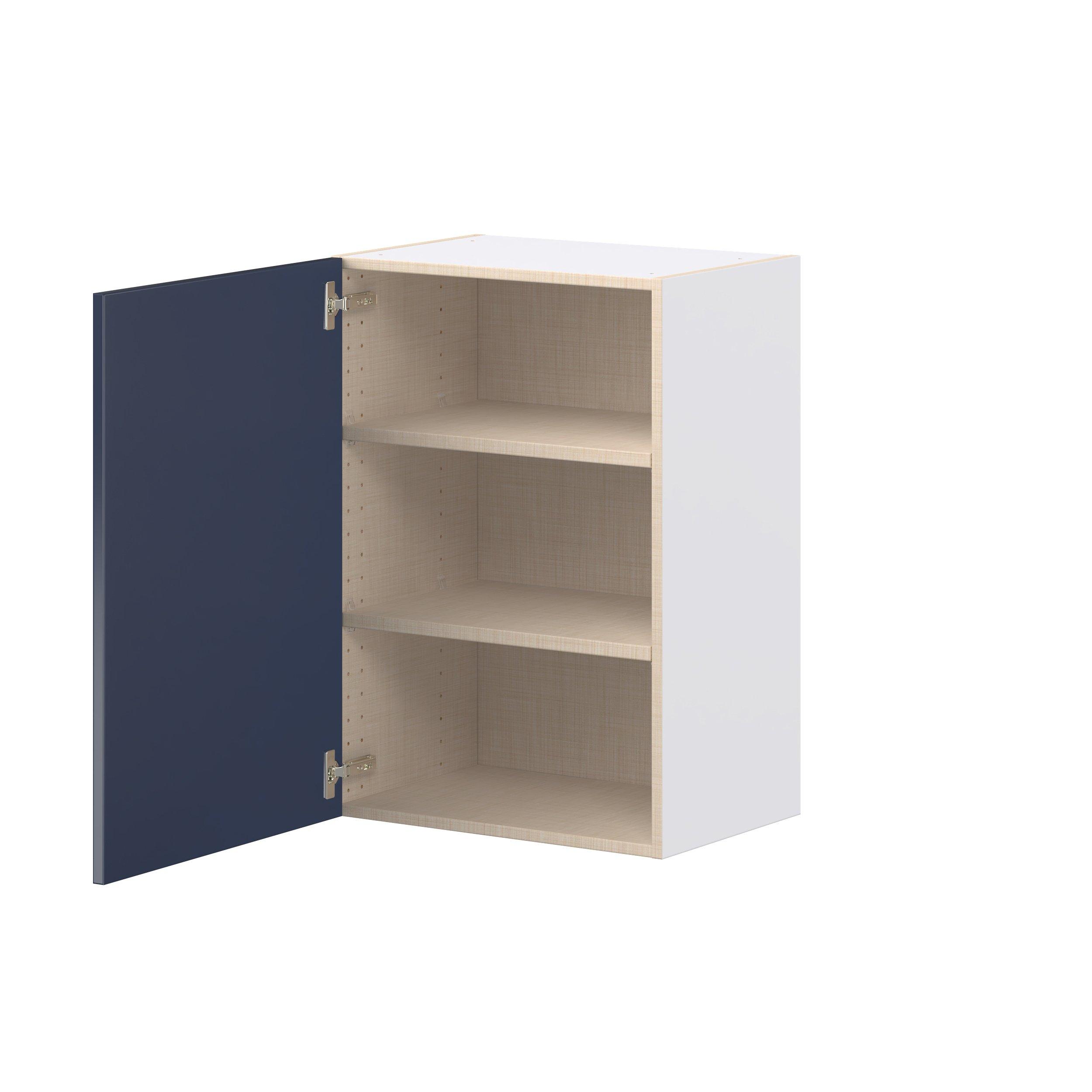 Peachtree 21 in. Painted Midnight Blue Door Wall Cabinet