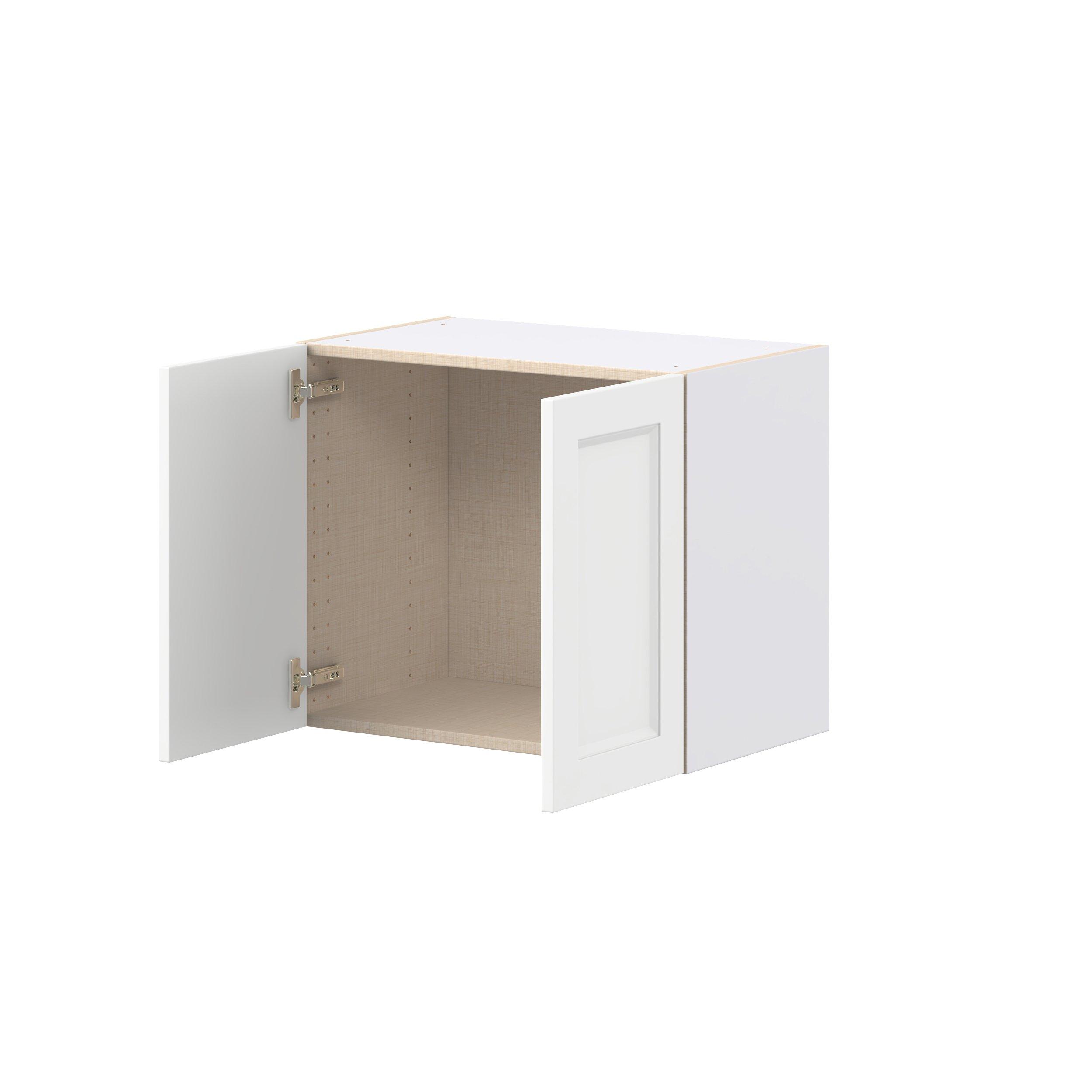 Peachtree 24 in. Painted Bright White Bridge Wall Cabinet
