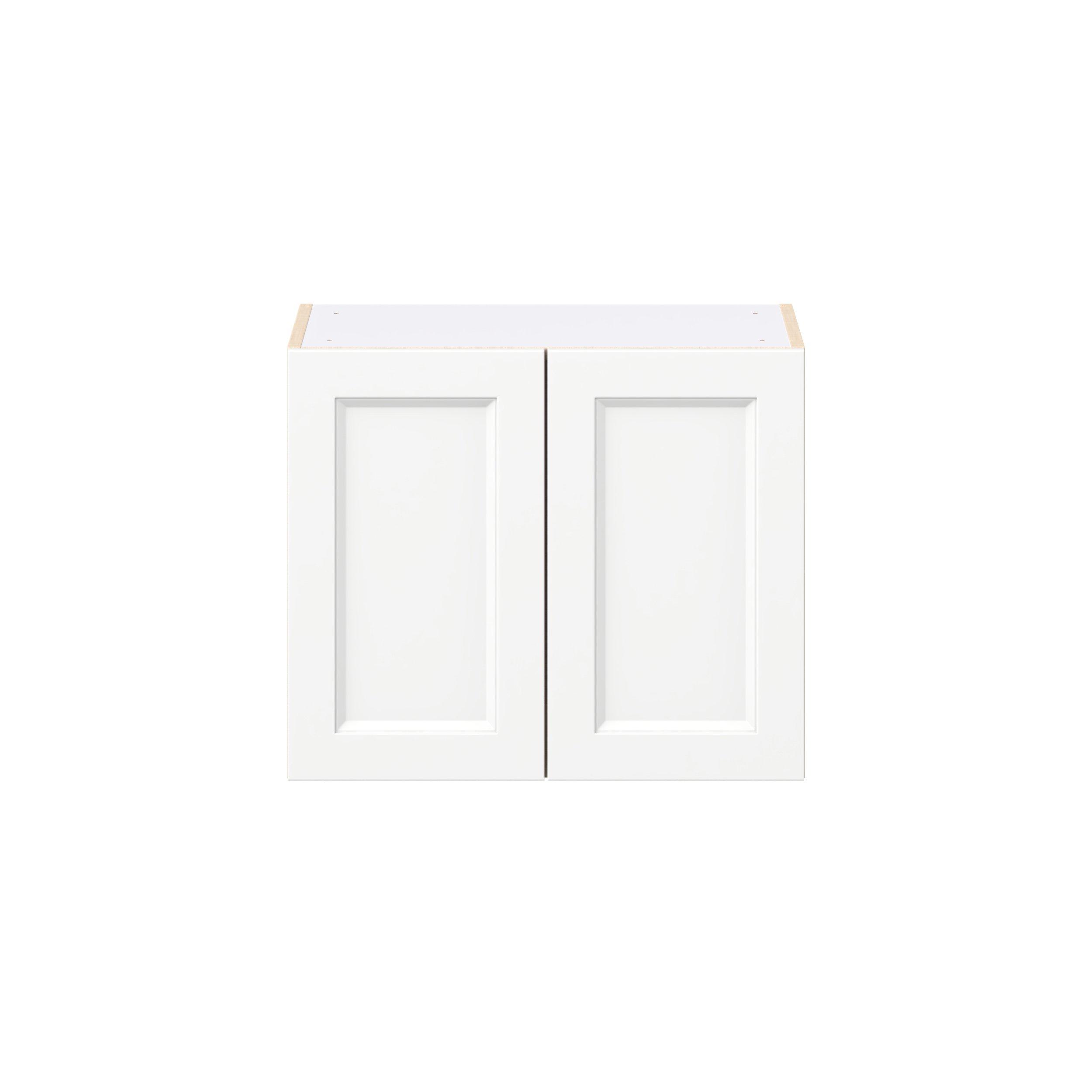 Peachtree 24 in. Painted Bright White Bridge Wall Cabinet