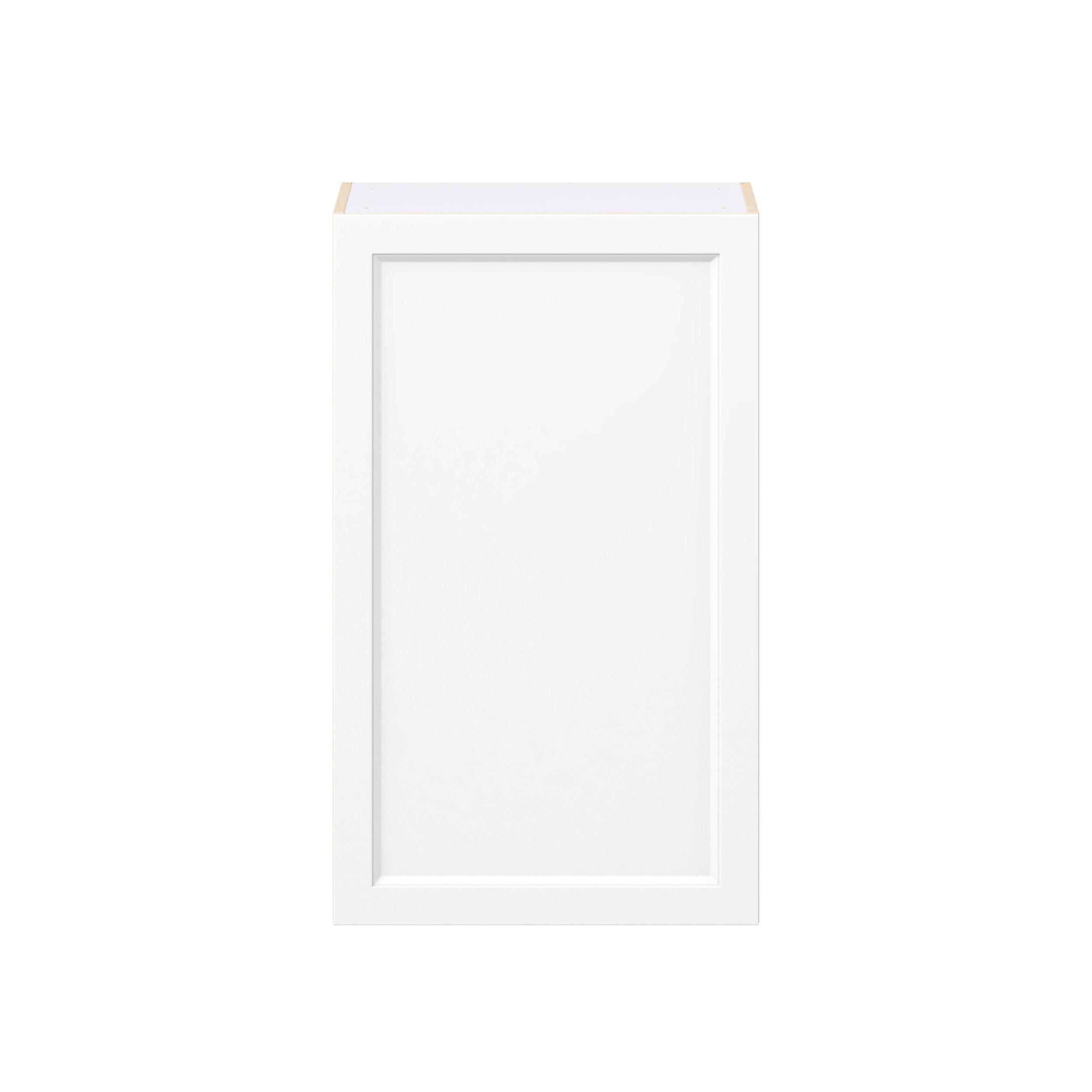 Peachtree 24 in. Painted Bright White Door Wall Cabinet