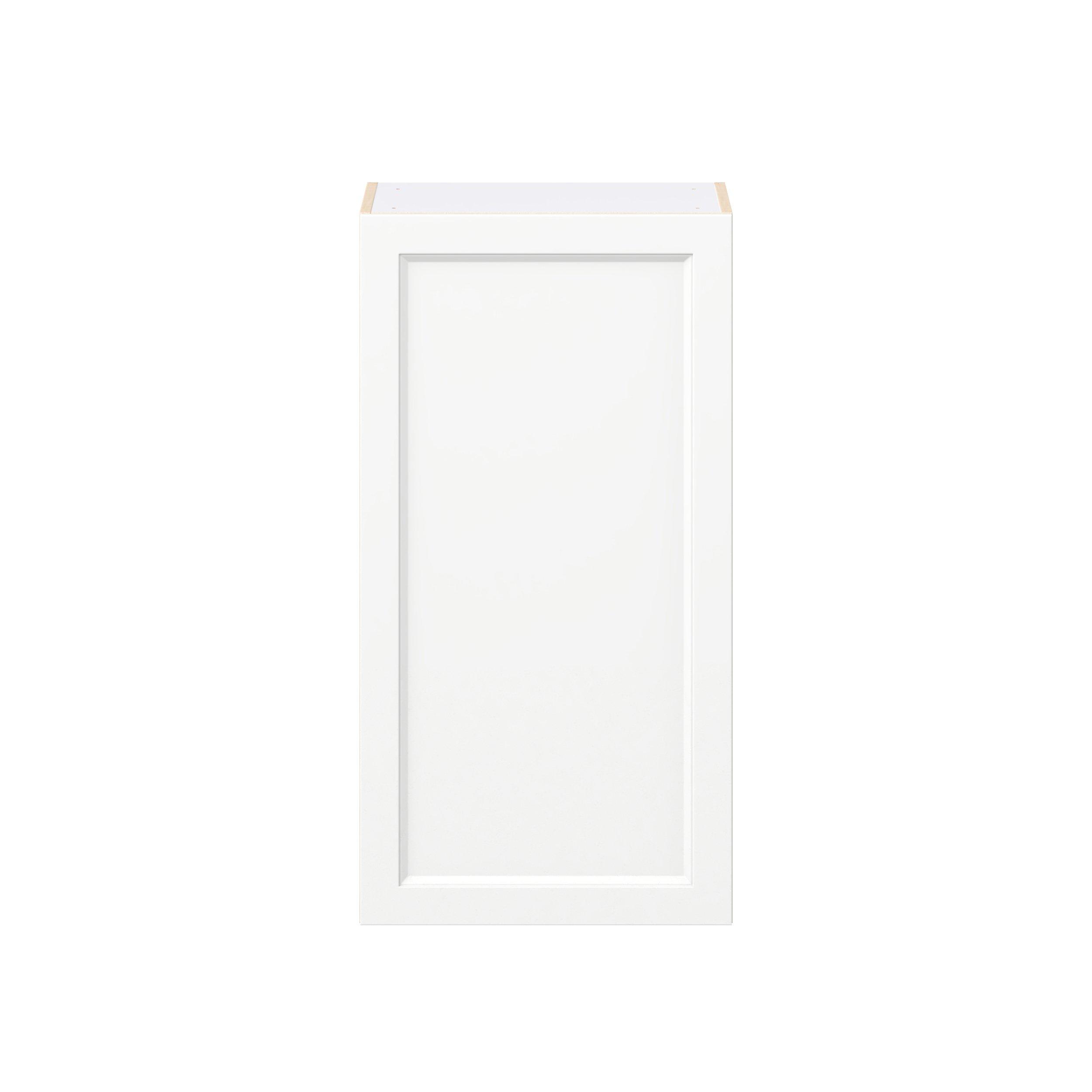 Peachtree 21 in. Painted Bright White Door Wall Cabinet