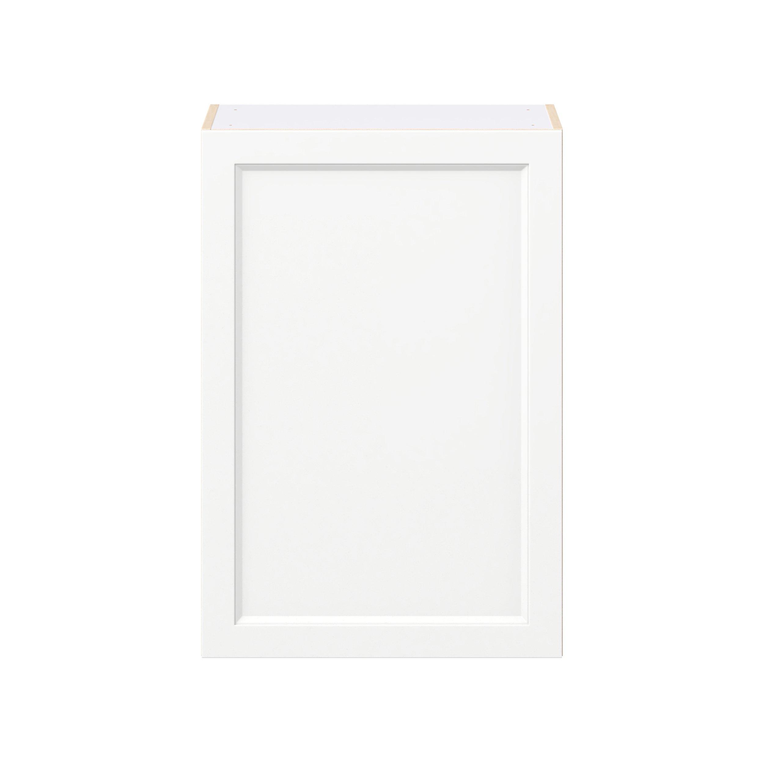 Peachtree 24 in. Painted Bright White Door Wall Cabinet