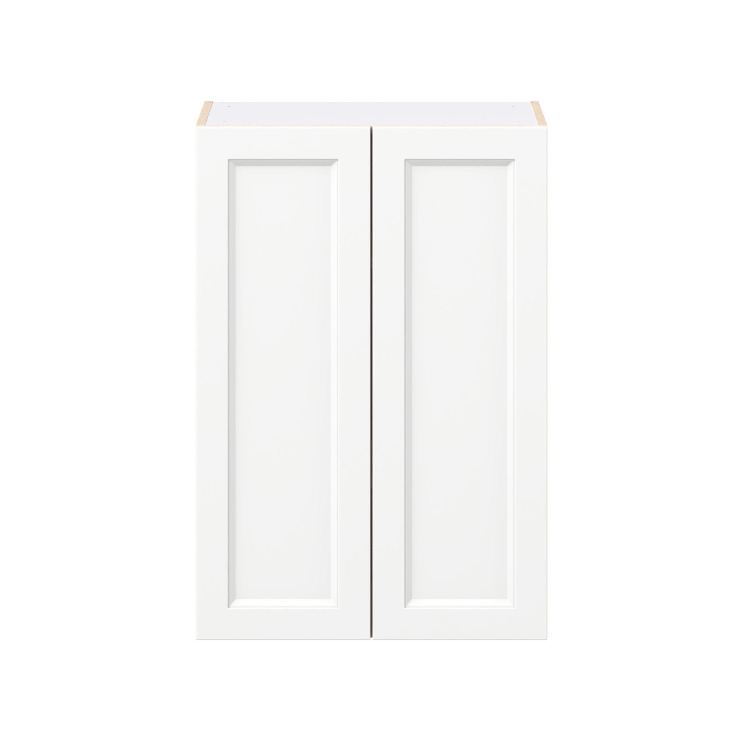Peachtree 24 in. Painted Bright White Door Wall Cabinet