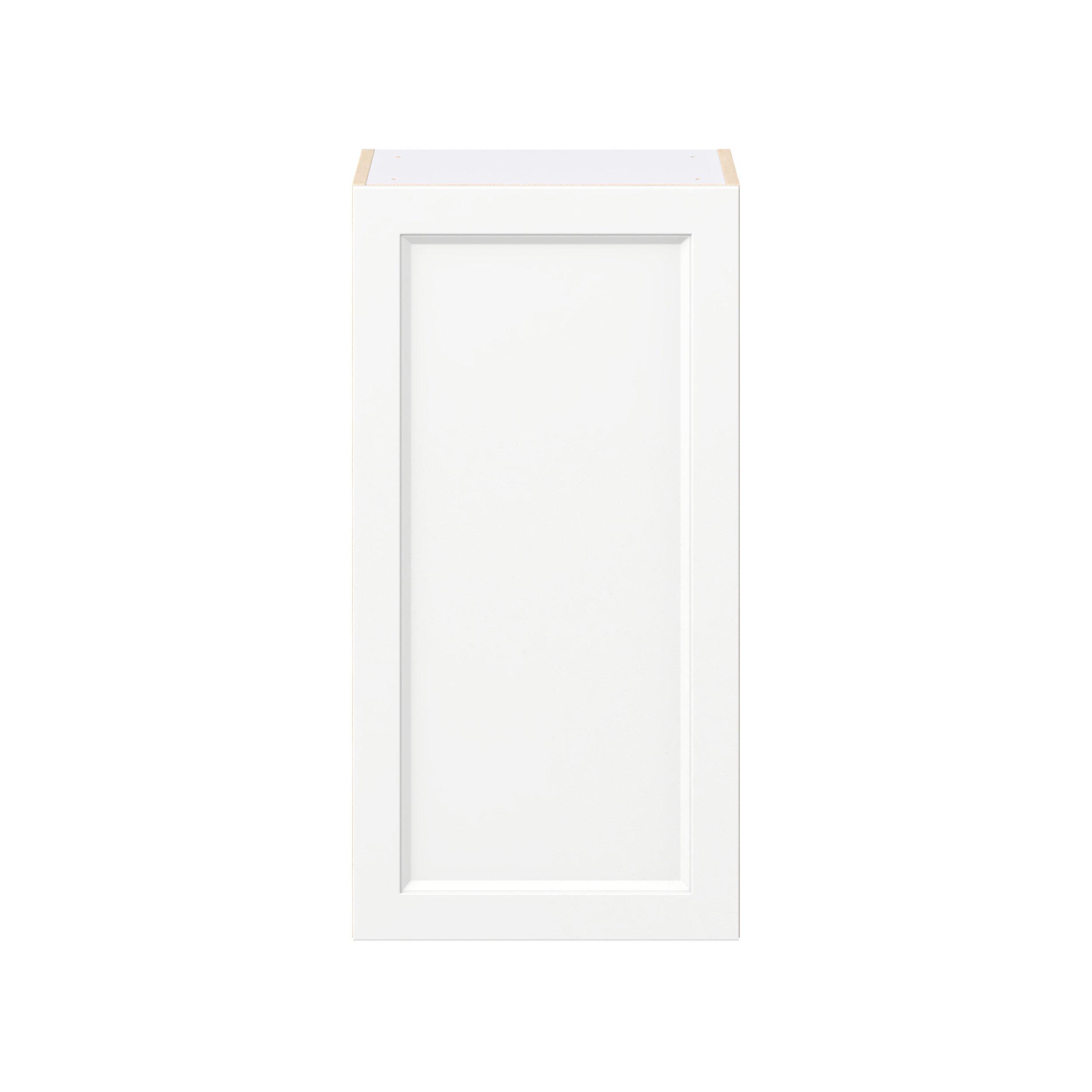 Peachtree 18 in. Painted Bright White Door Wall Cabinet