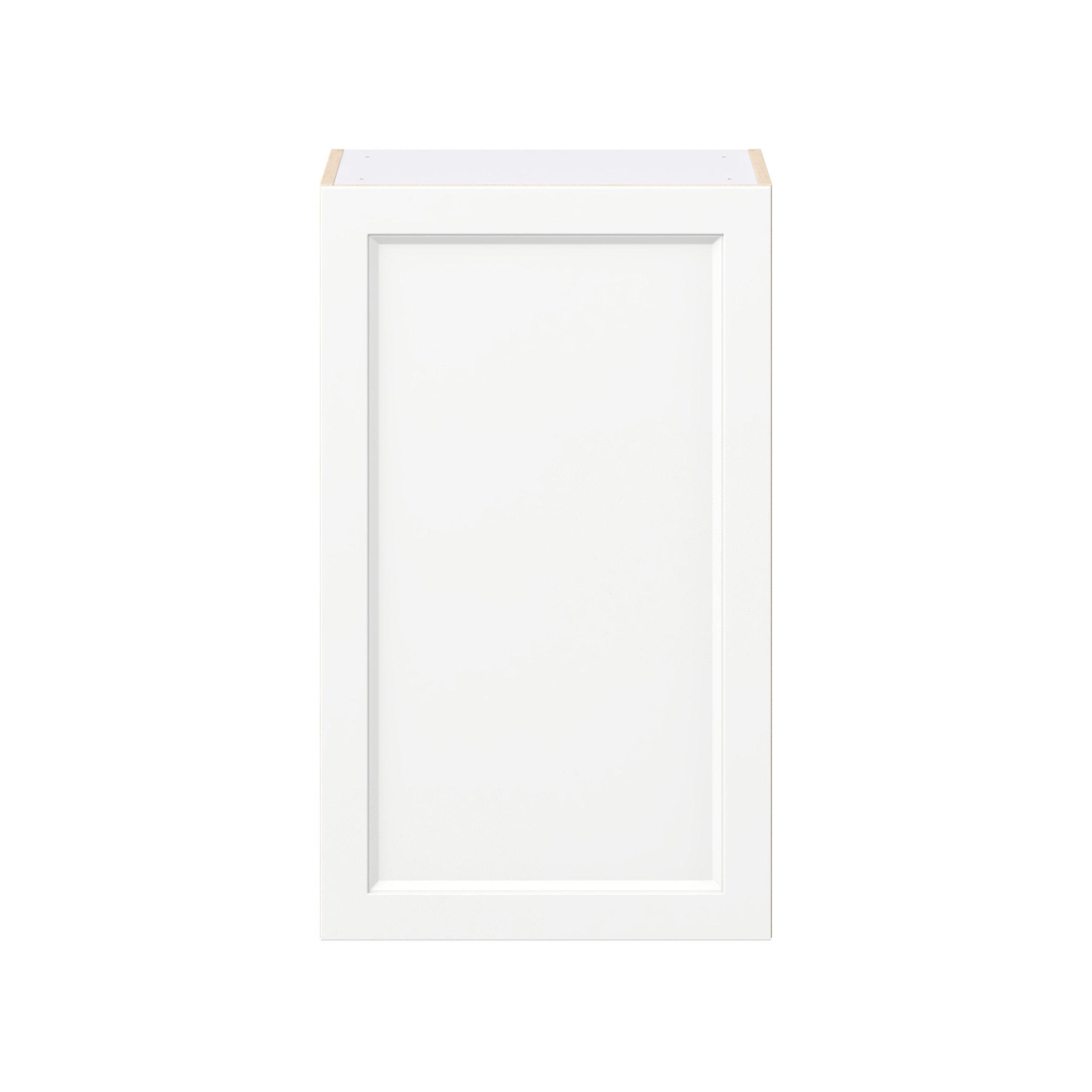 Peachtree 21 in. Painted Bright White Door Wall Cabinet