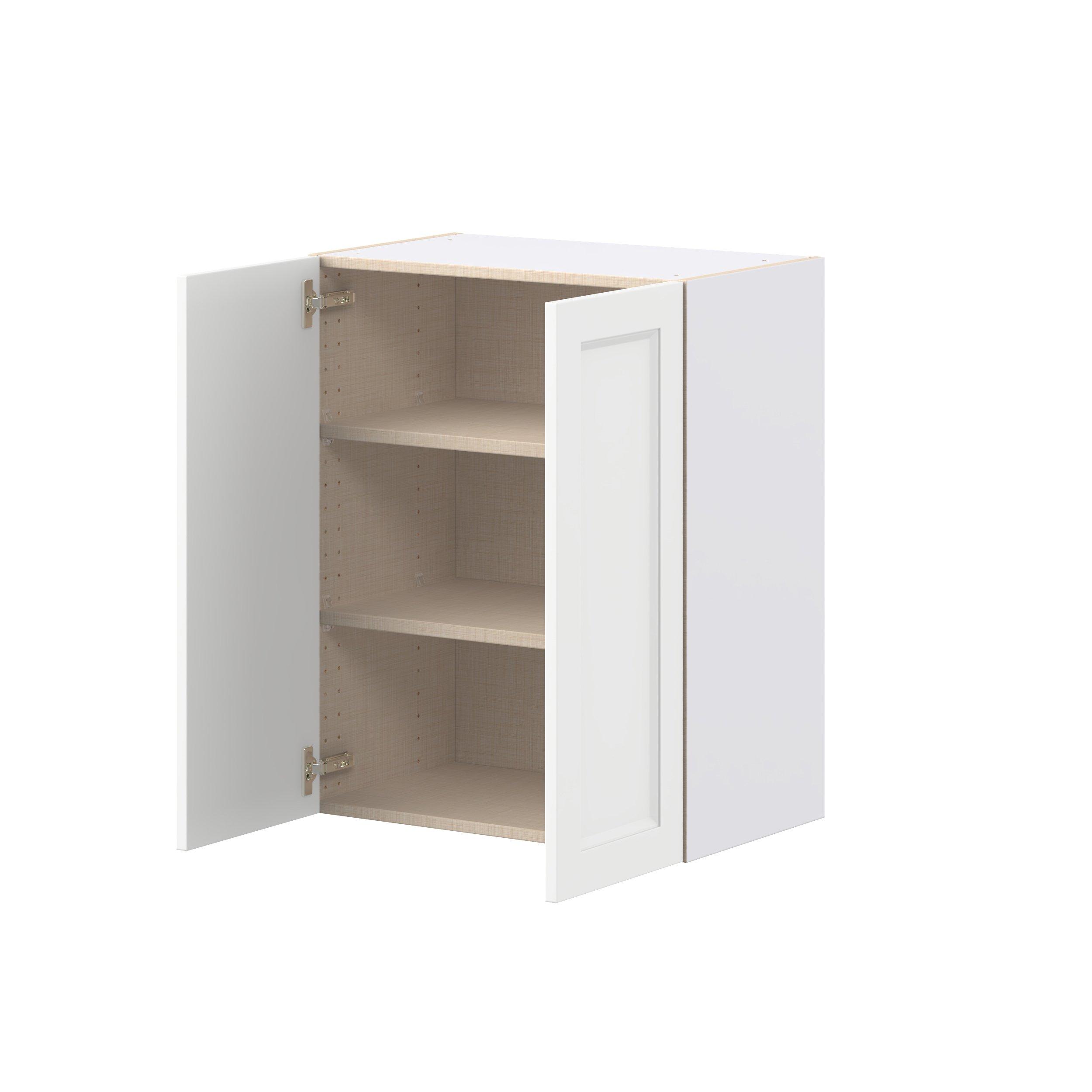 Peachtree 24 in. Painted Bright White Door Wall Cabinet