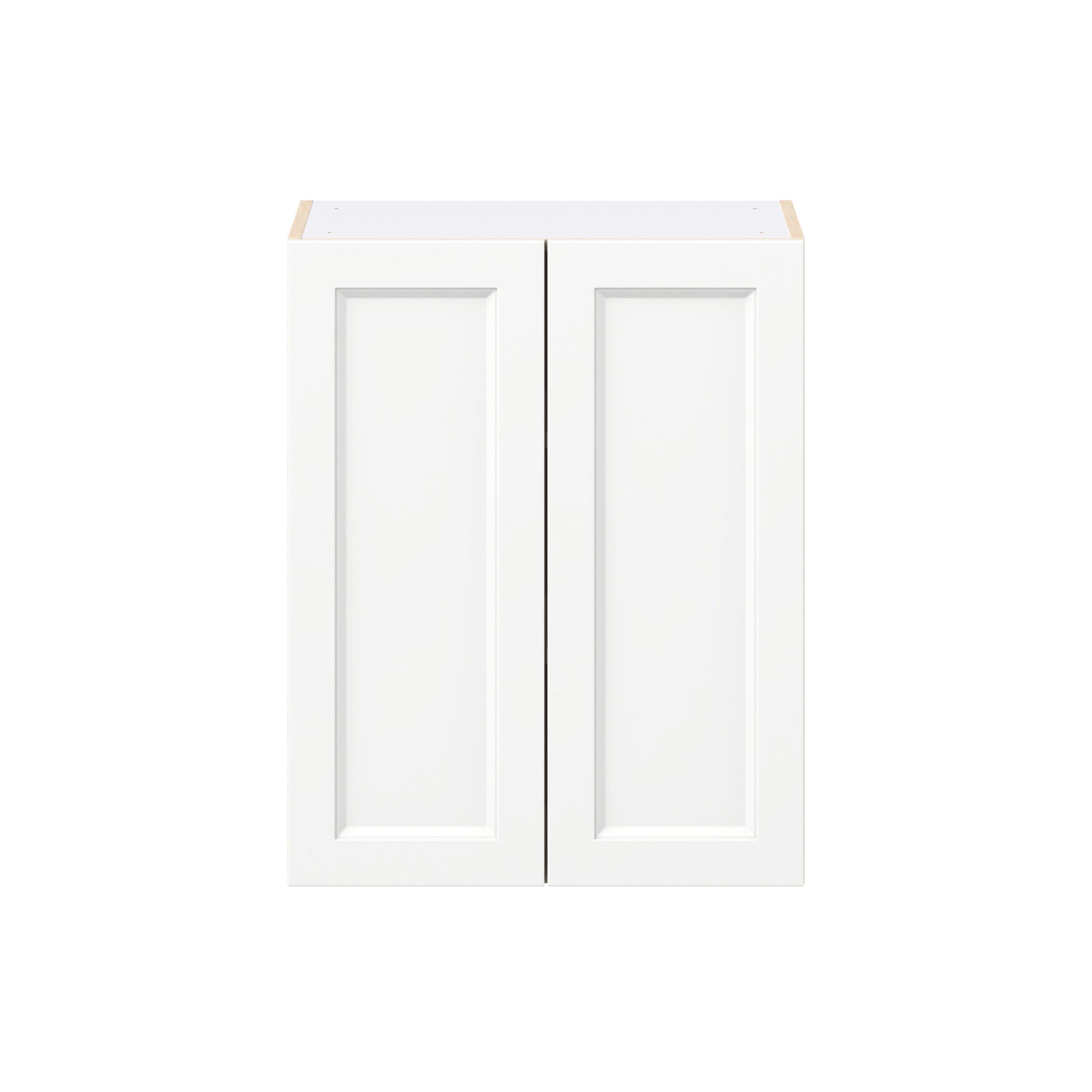 Peachtree 24 in. Painted Bright White Door Wall Cabinet
