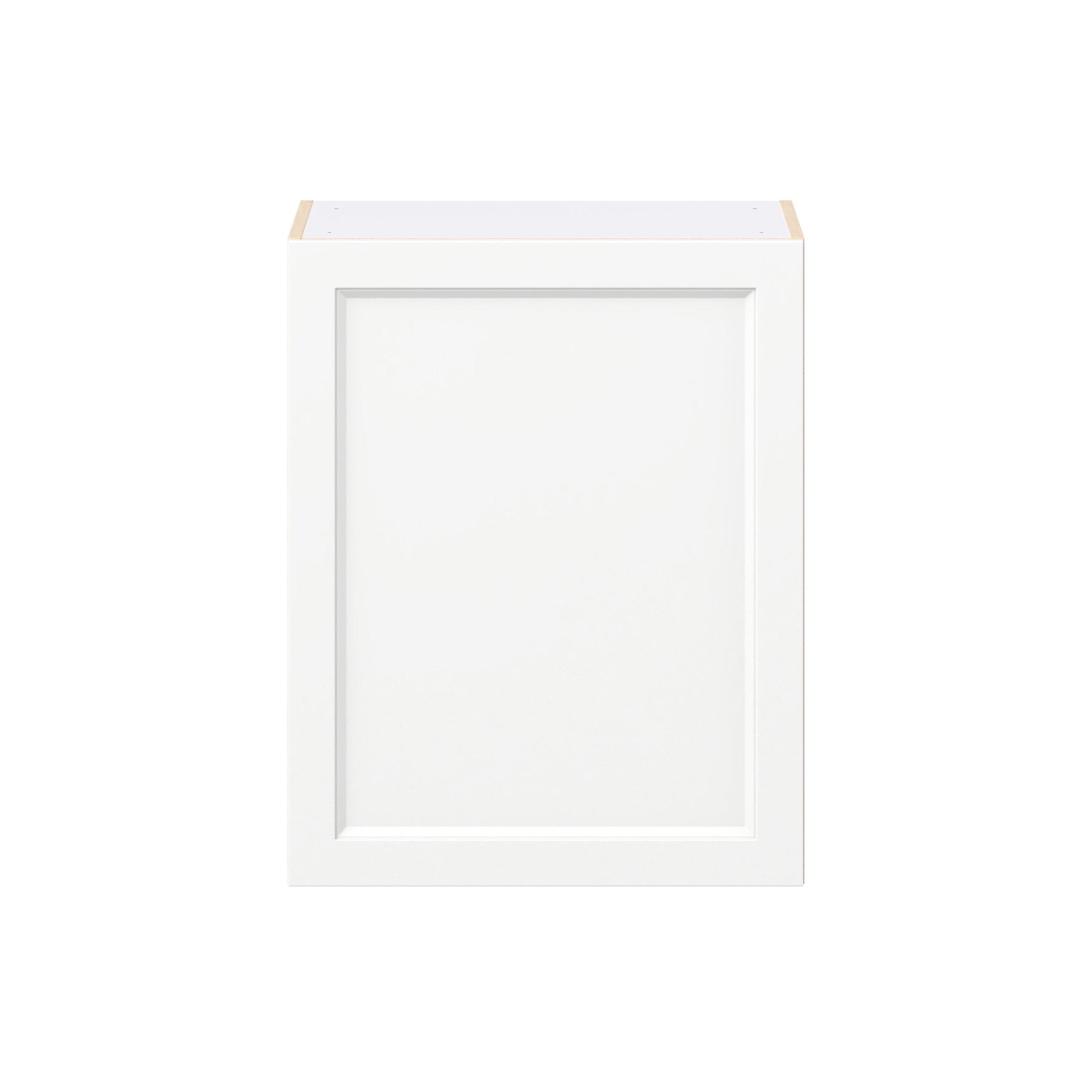 Peachtree 24 in. Painted Bright White Door Wall Cabinet