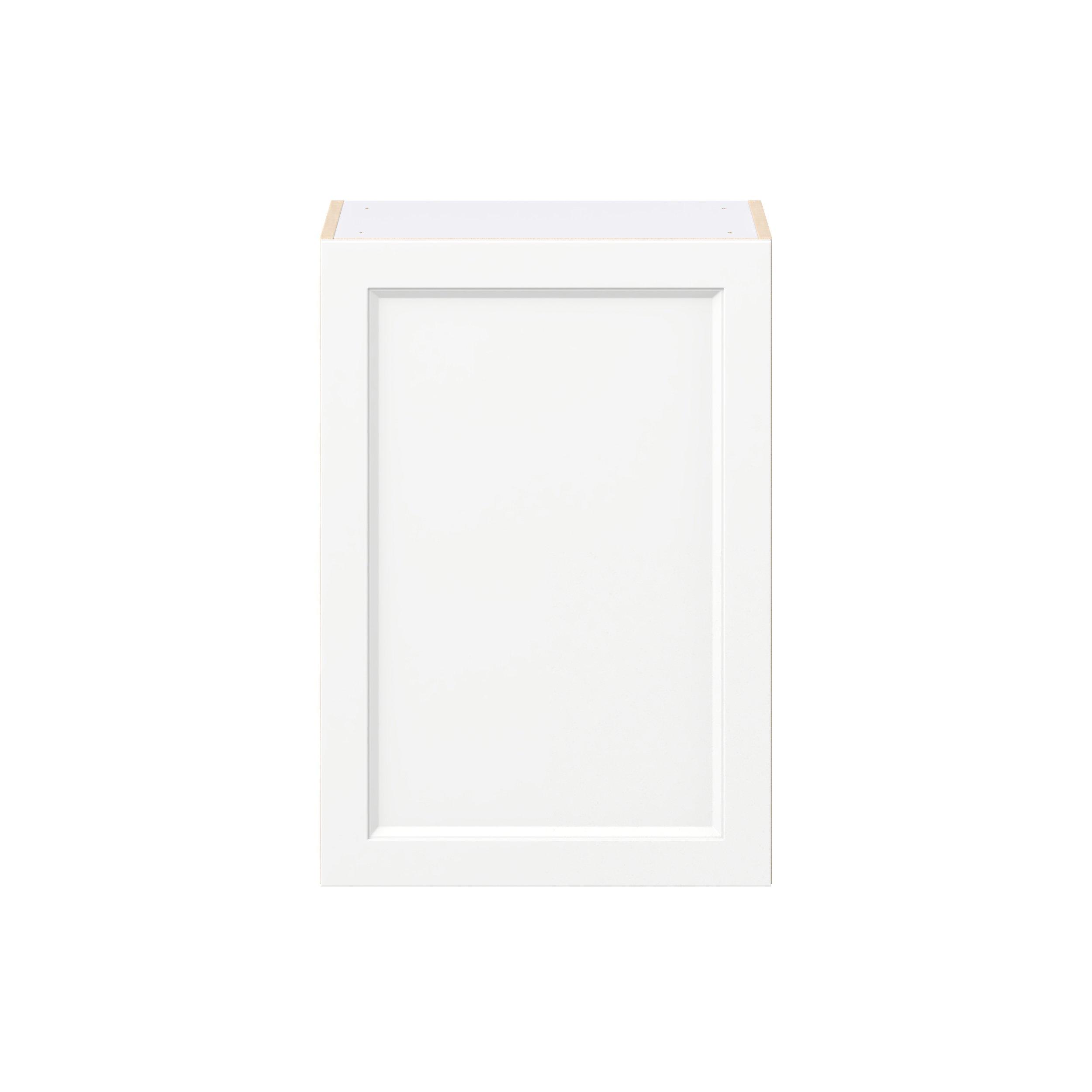 Peachtree 21 in. Painted Bright White Door Wall Cabinet