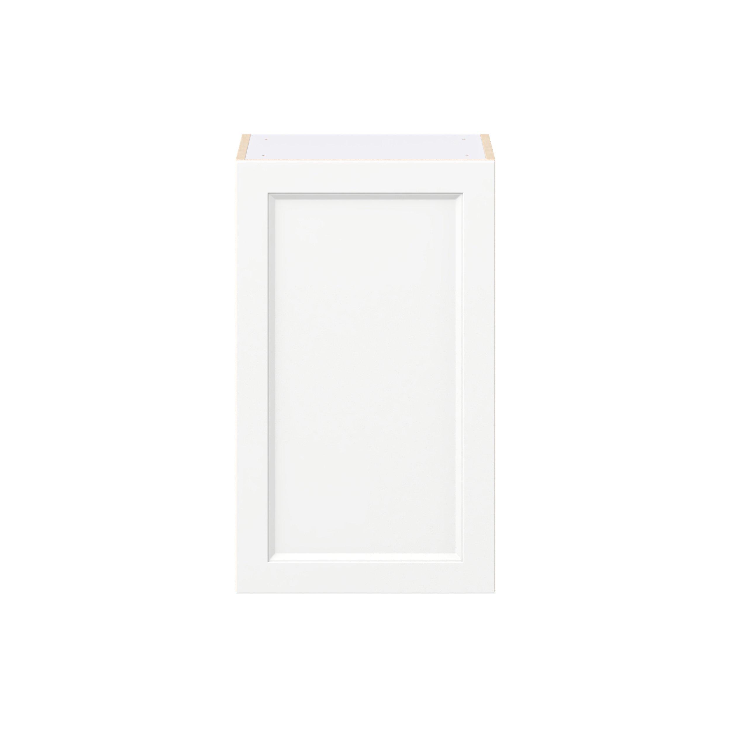 Peachtree 18 in. Painted Bright White Door Wall Cabinet