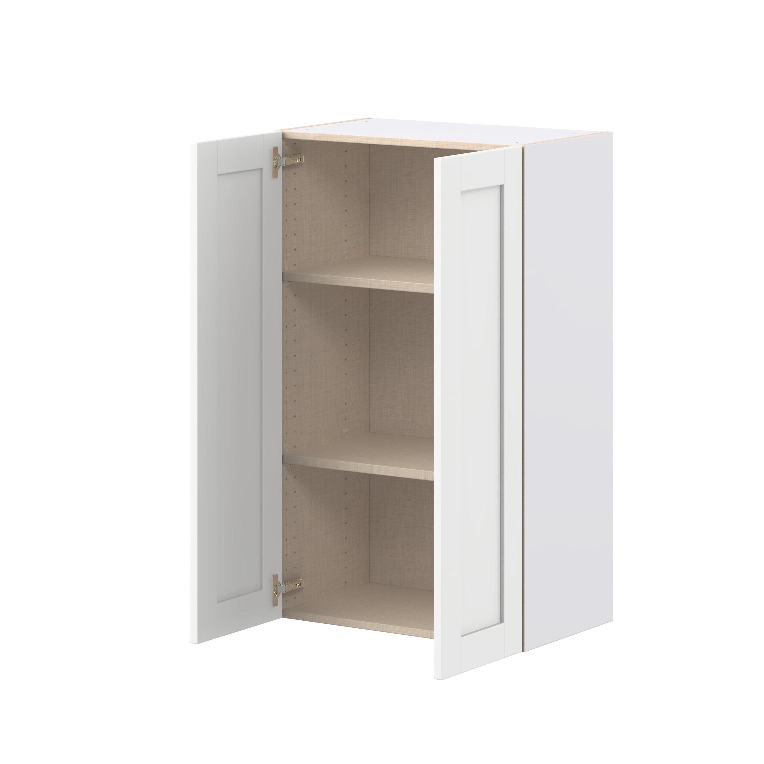 Summerhill 24 in. Bright White Door Wall Cabinet