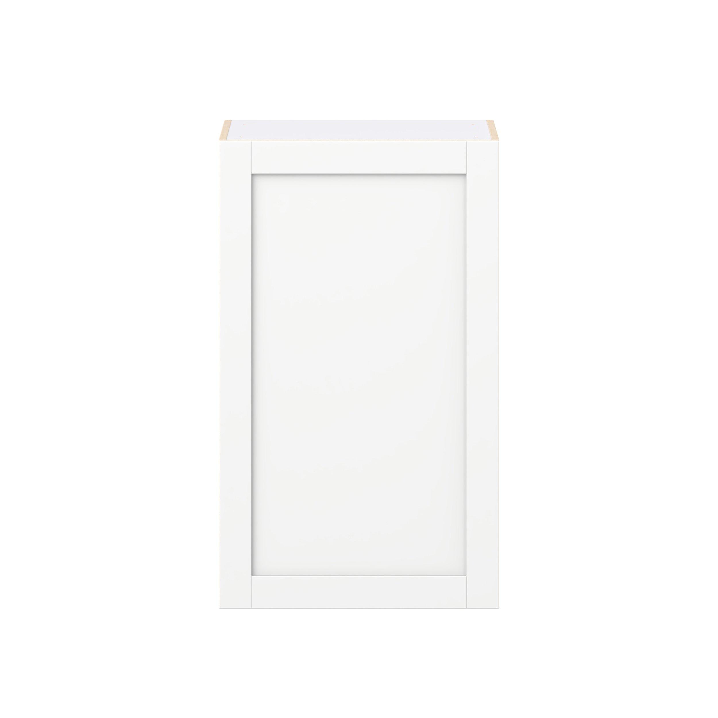Summerhill 24 in. Bright White Door Wall Cabinet