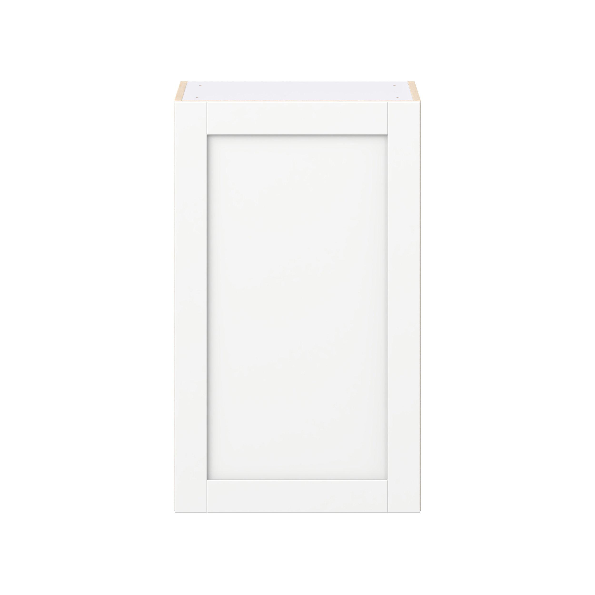 Summerhill 21 in. Bright White Door Wall Cabinet