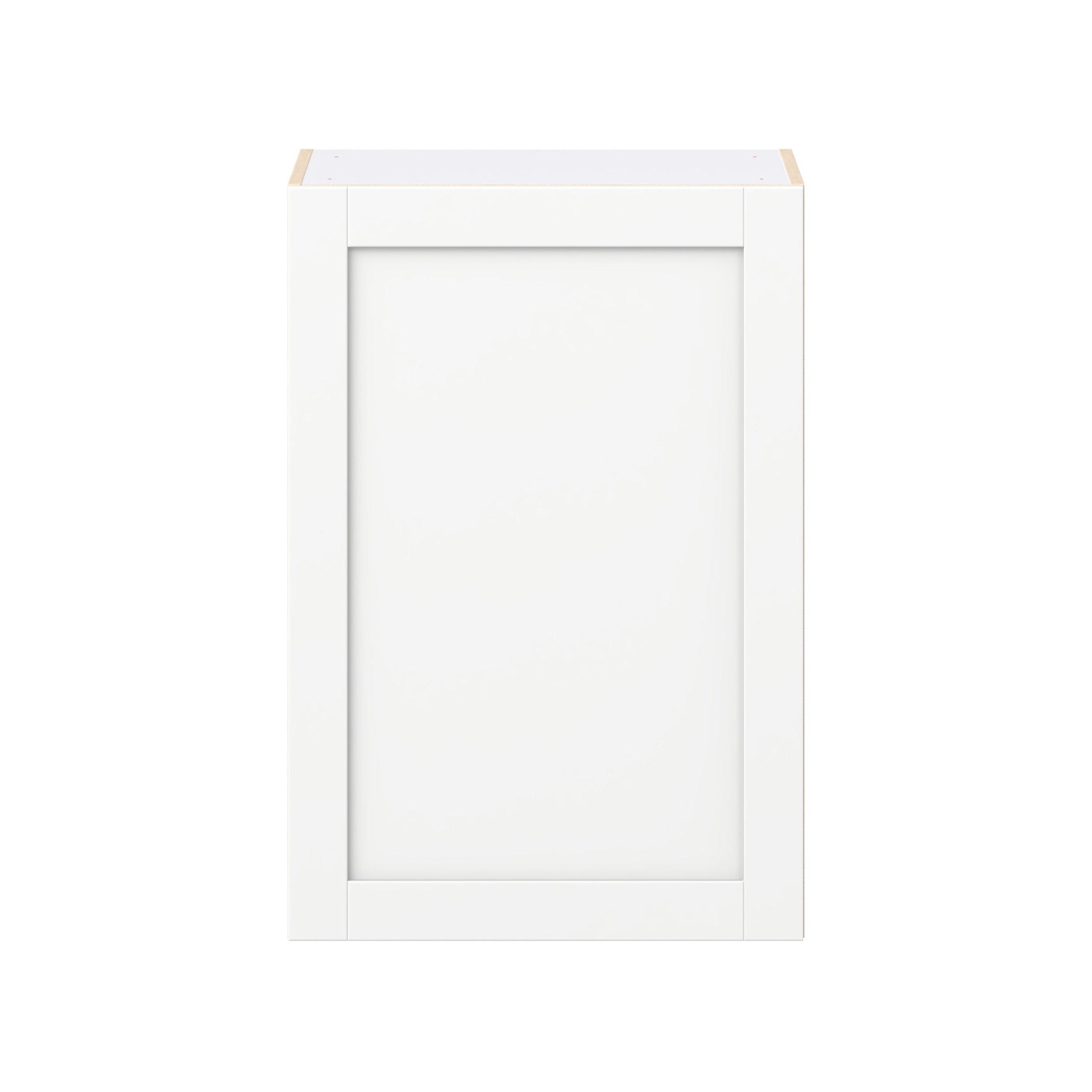 Summerhill 24 in. Bright White Door Wall Cabinet