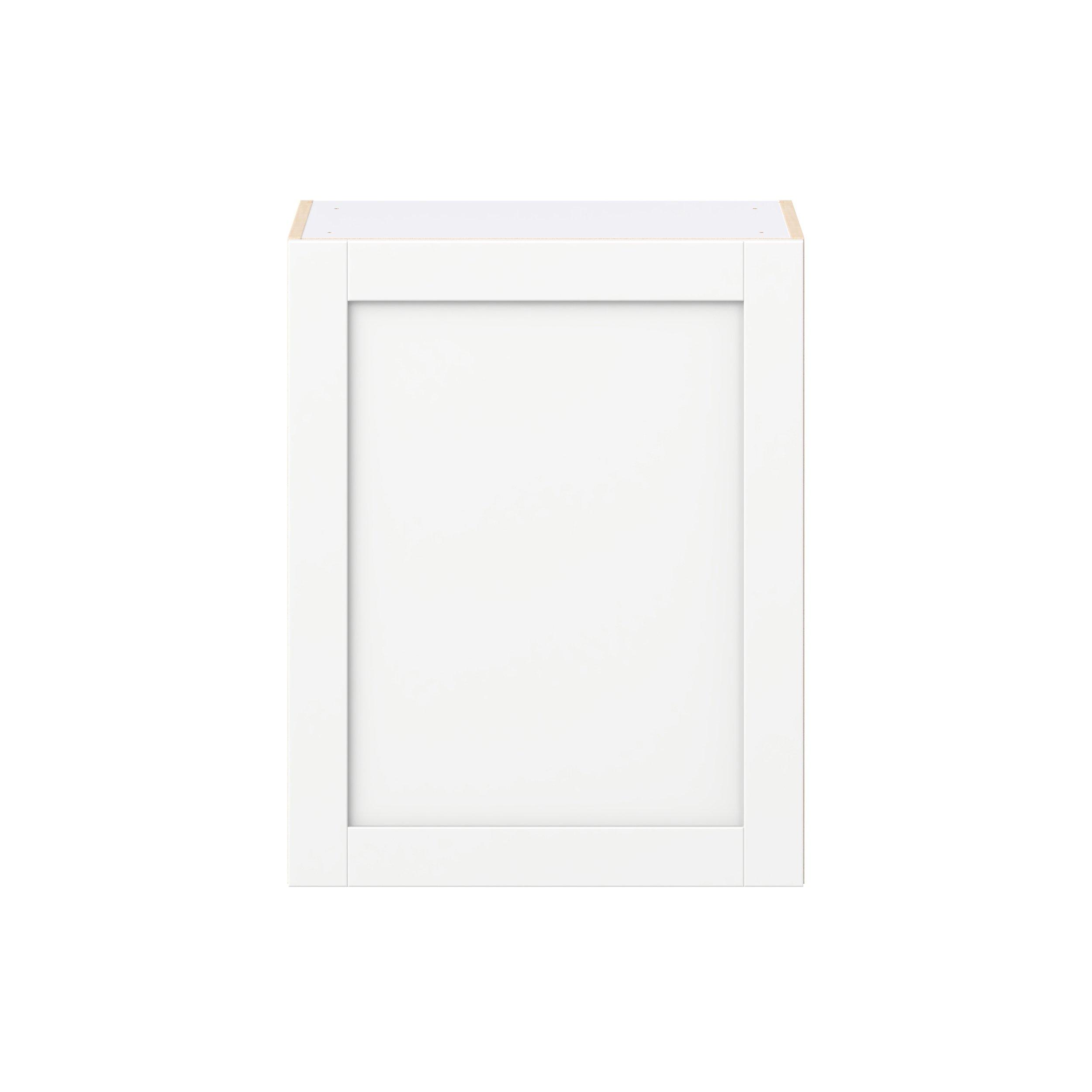 Summerhill 24 in. Bright White Door Wall Cabinet