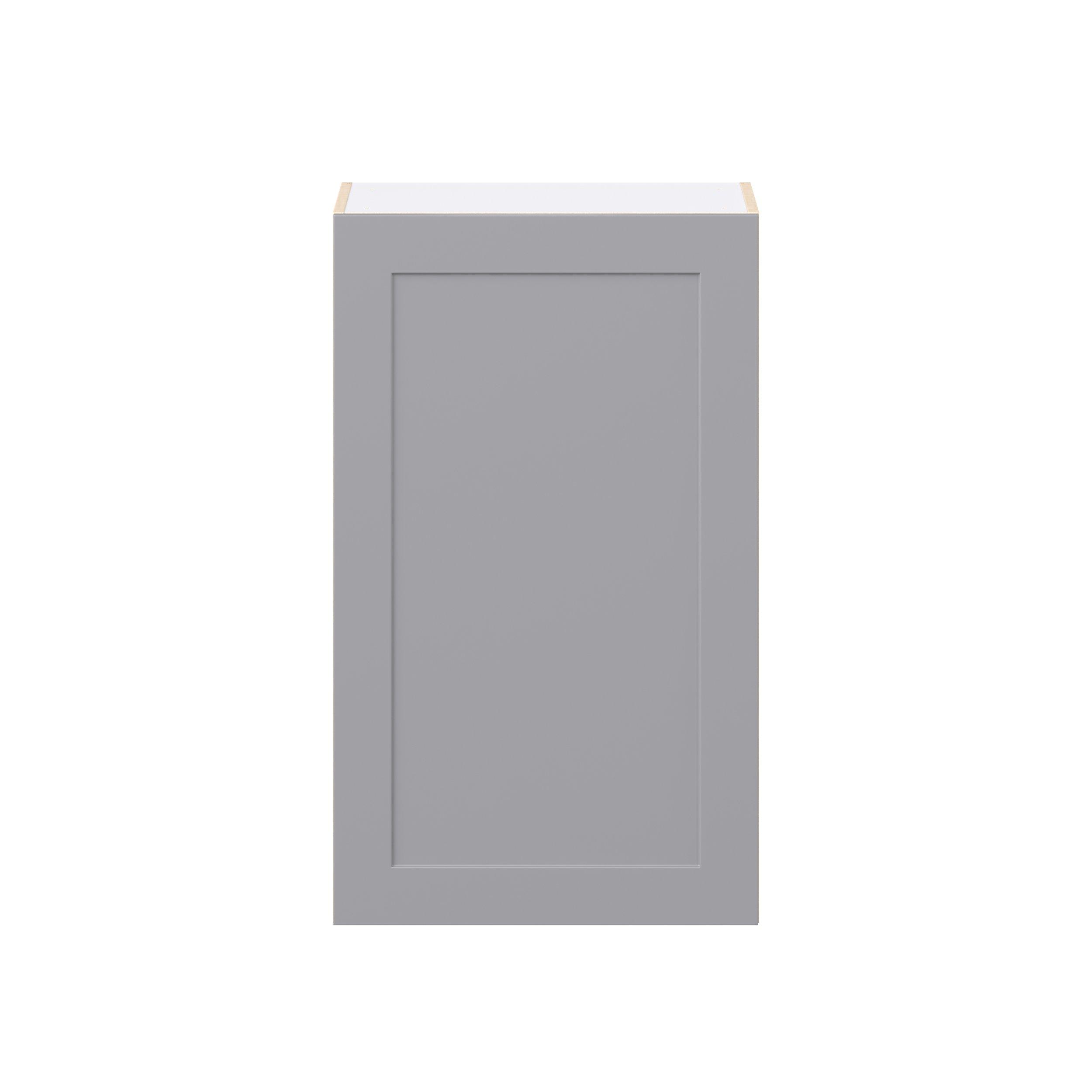 Candler 24 in. Painted Slate Gray Door Wall Cabinet