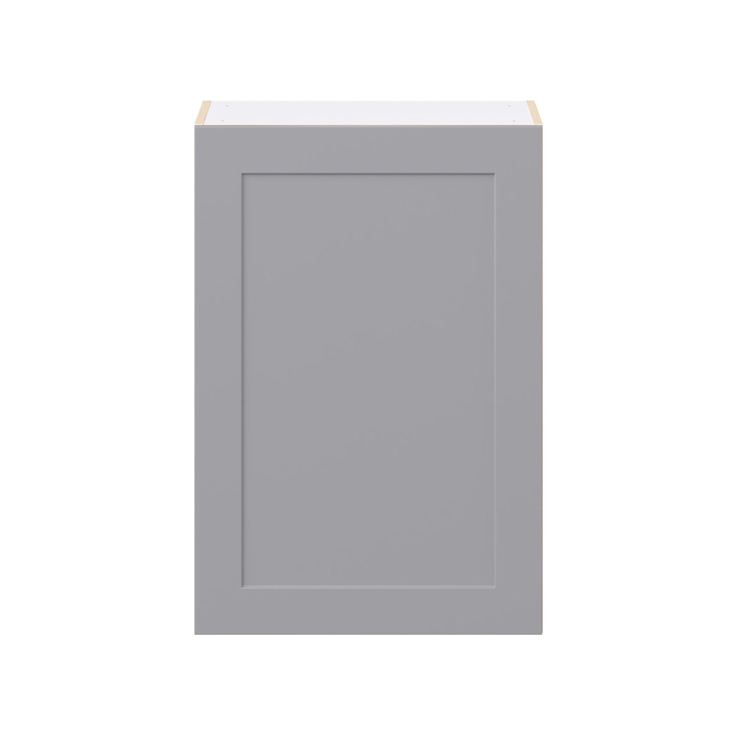 Candler 24 in. Painted Slate Gray Door Wall Cabinet
