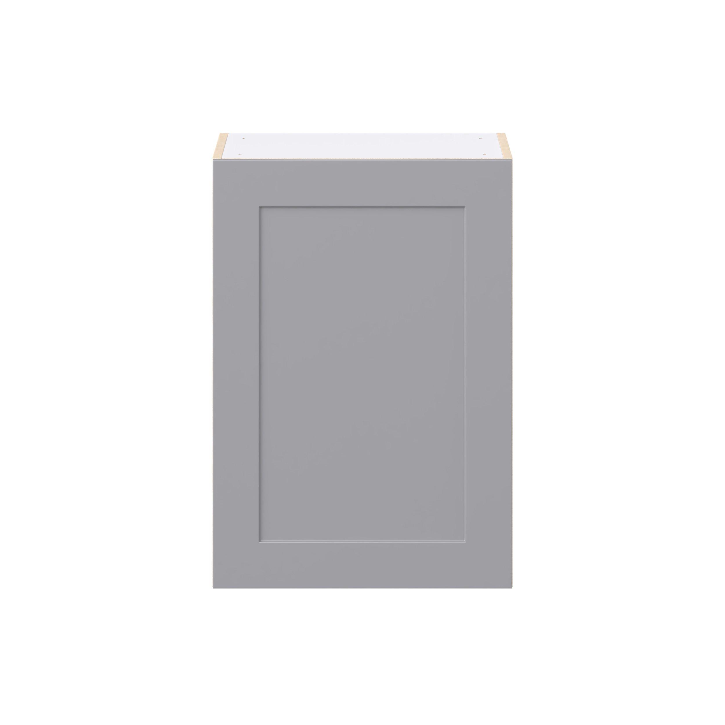 Candler 21 in. Painted Slate Gray Door Wall Cabinet