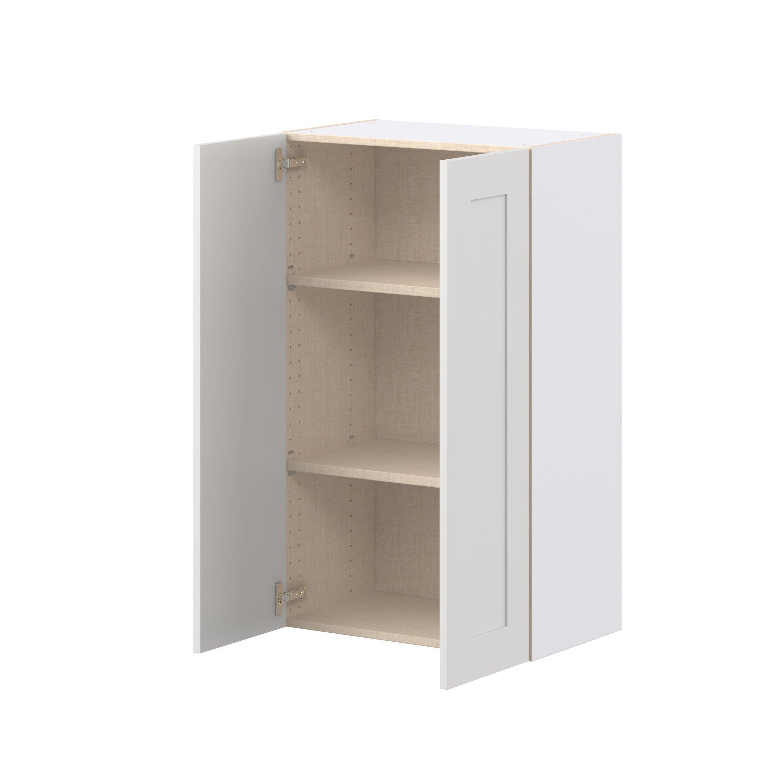 Candler 24 in. Painted Warm White Door Wall Cabinet