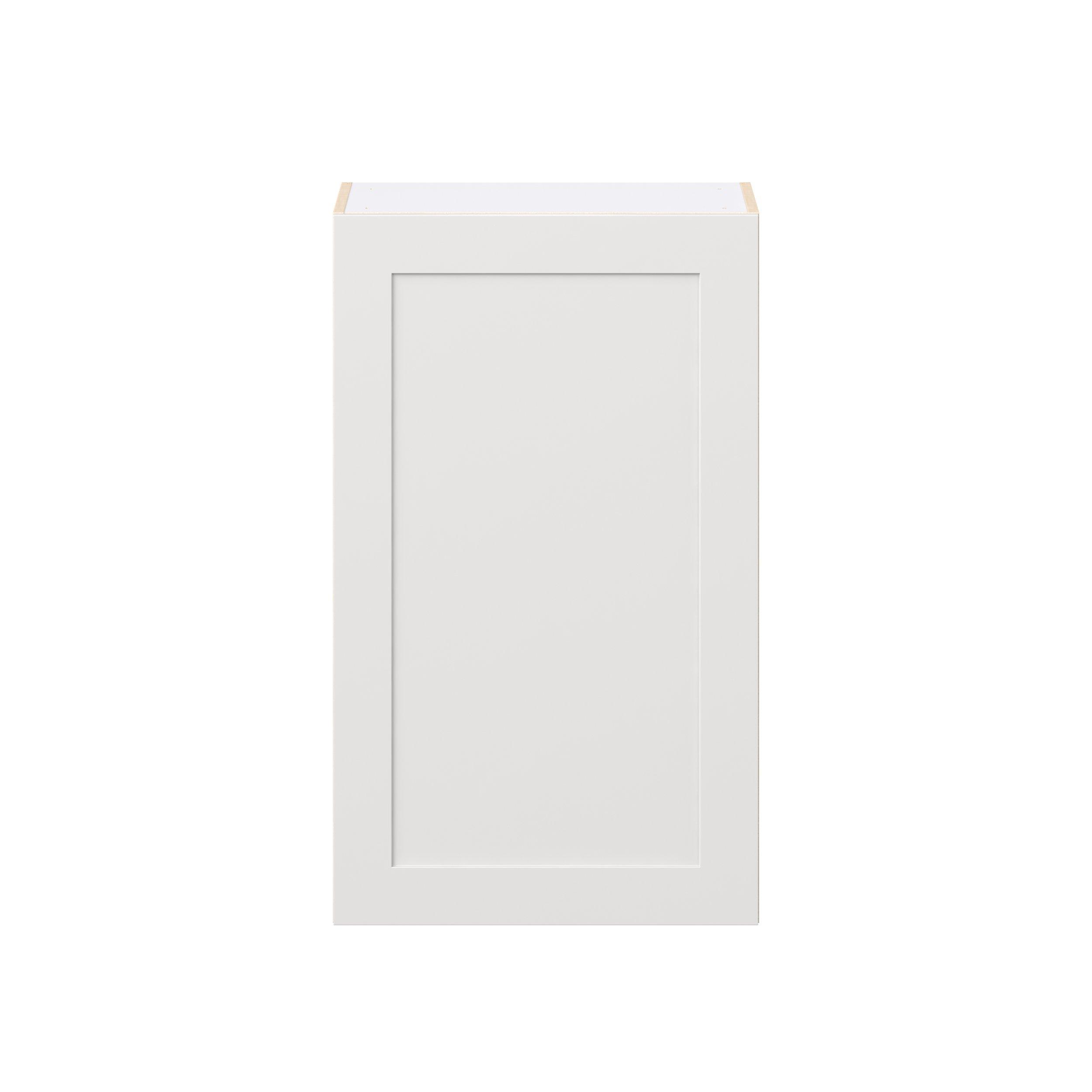 Candler 24 in. Painted Warm White Door Wall Cabinet