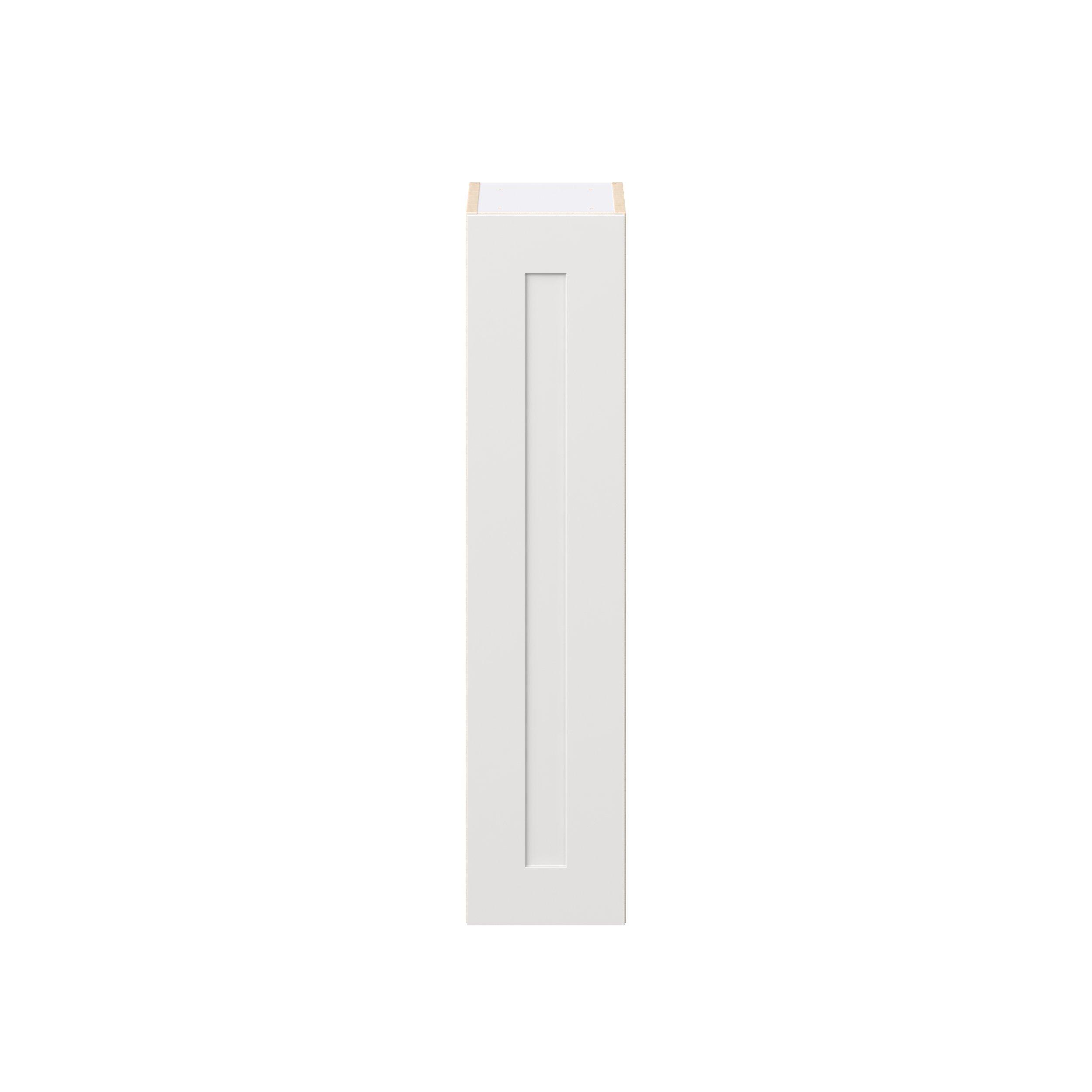 Candler 9 in. Painted Warm White Door Wall Cabinet