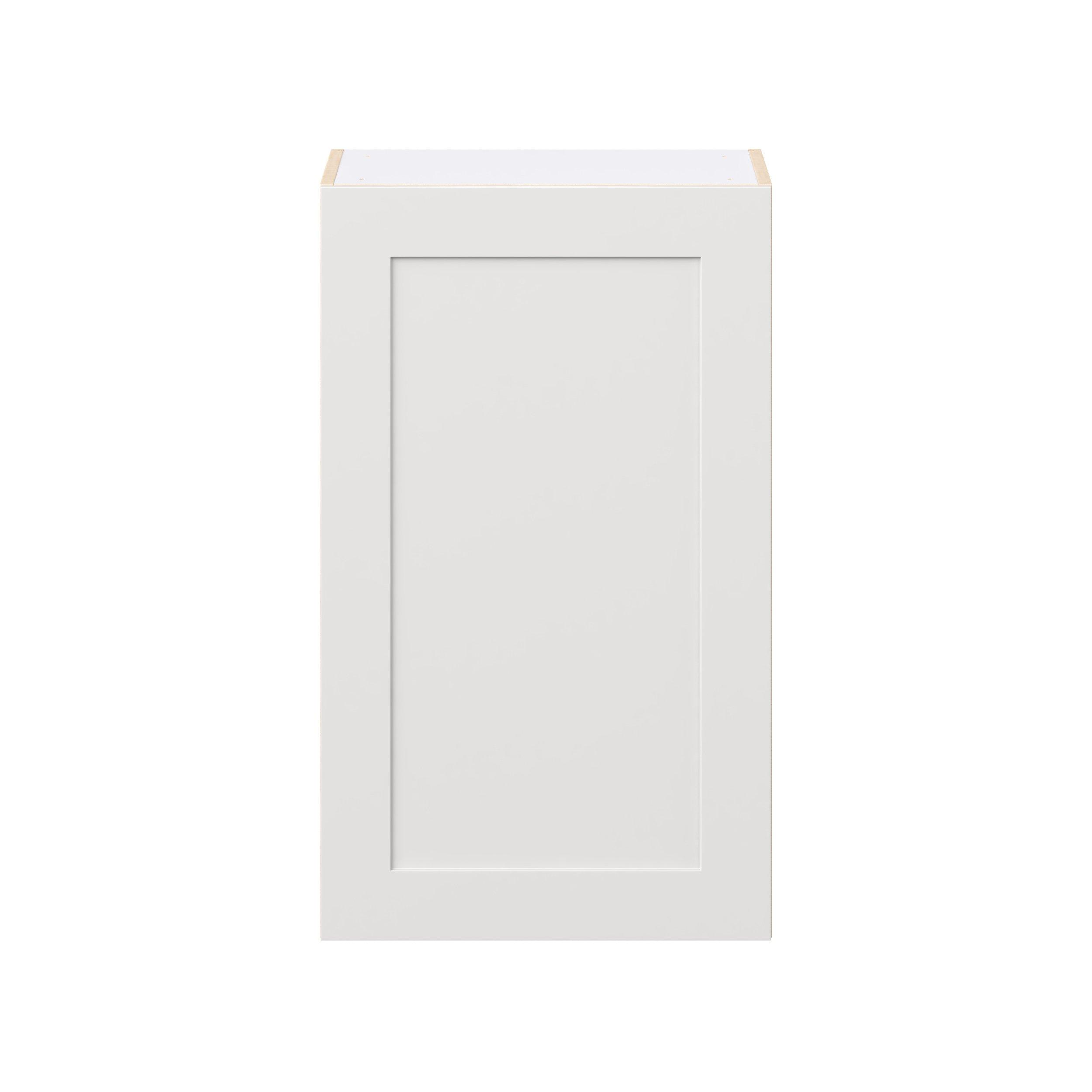 Candler 21 in. Painted Warm White Door Wall Cabinet