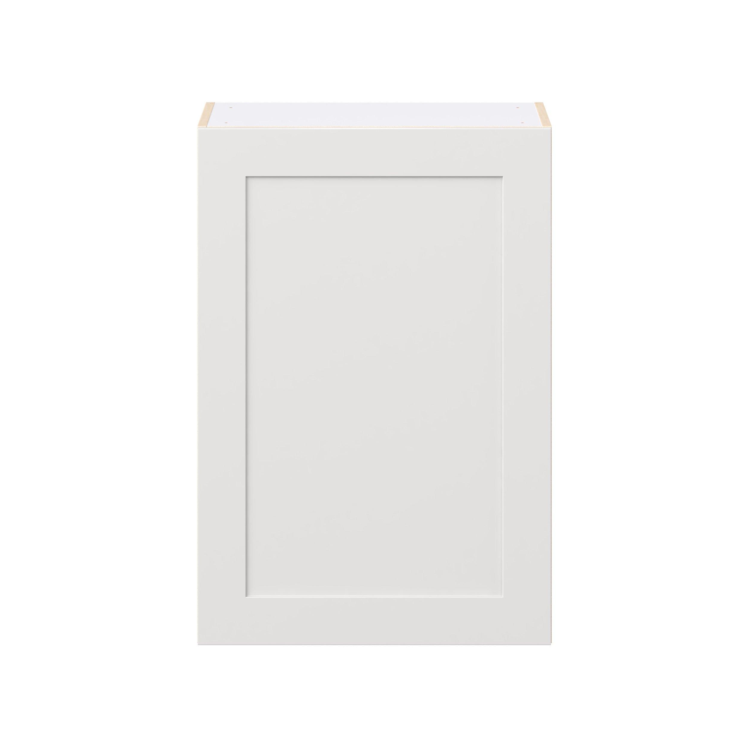 Candler 24 in. Painted Warm White Door Wall Cabinet