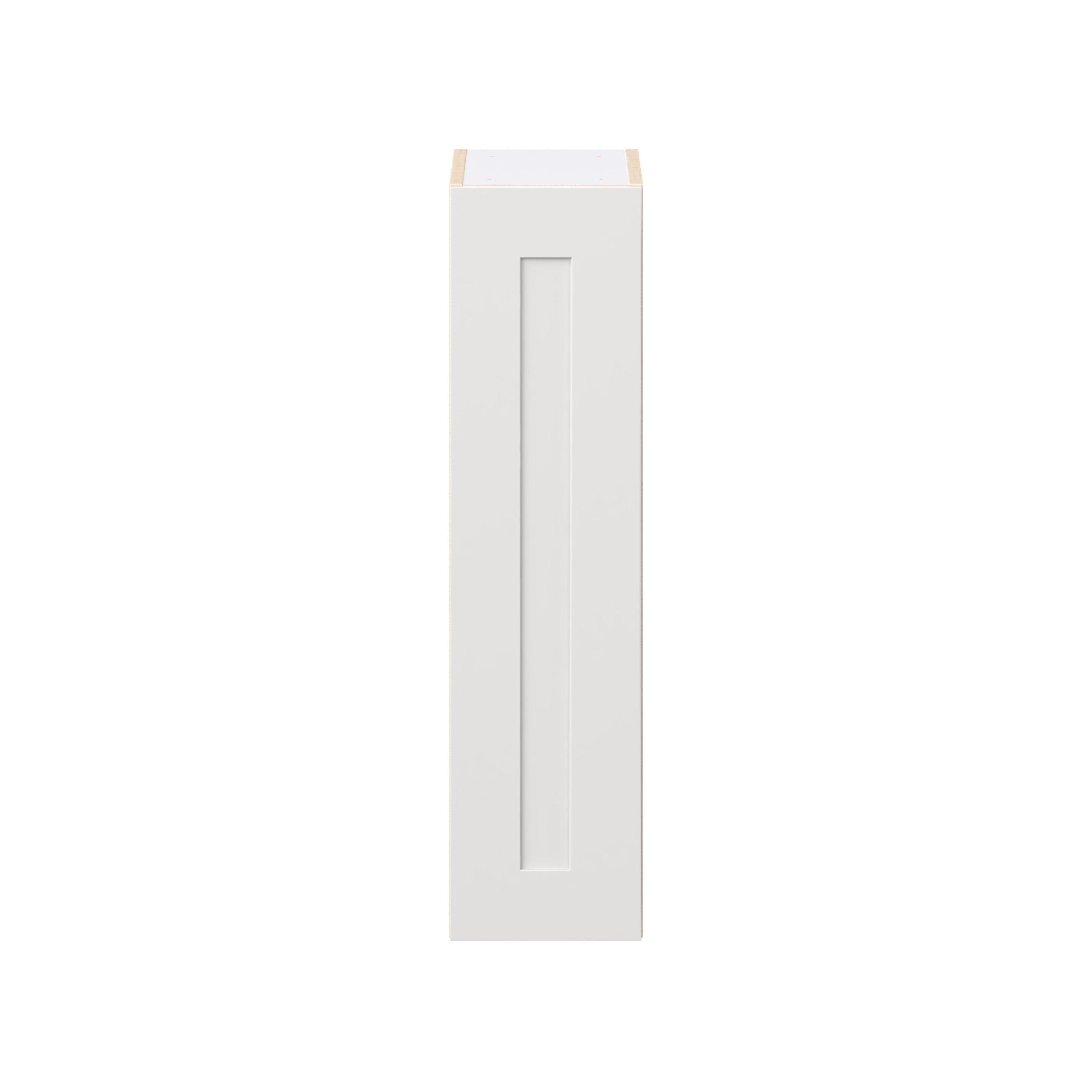 Candler 9 in. Painted Warm White Door Wall Cabinet