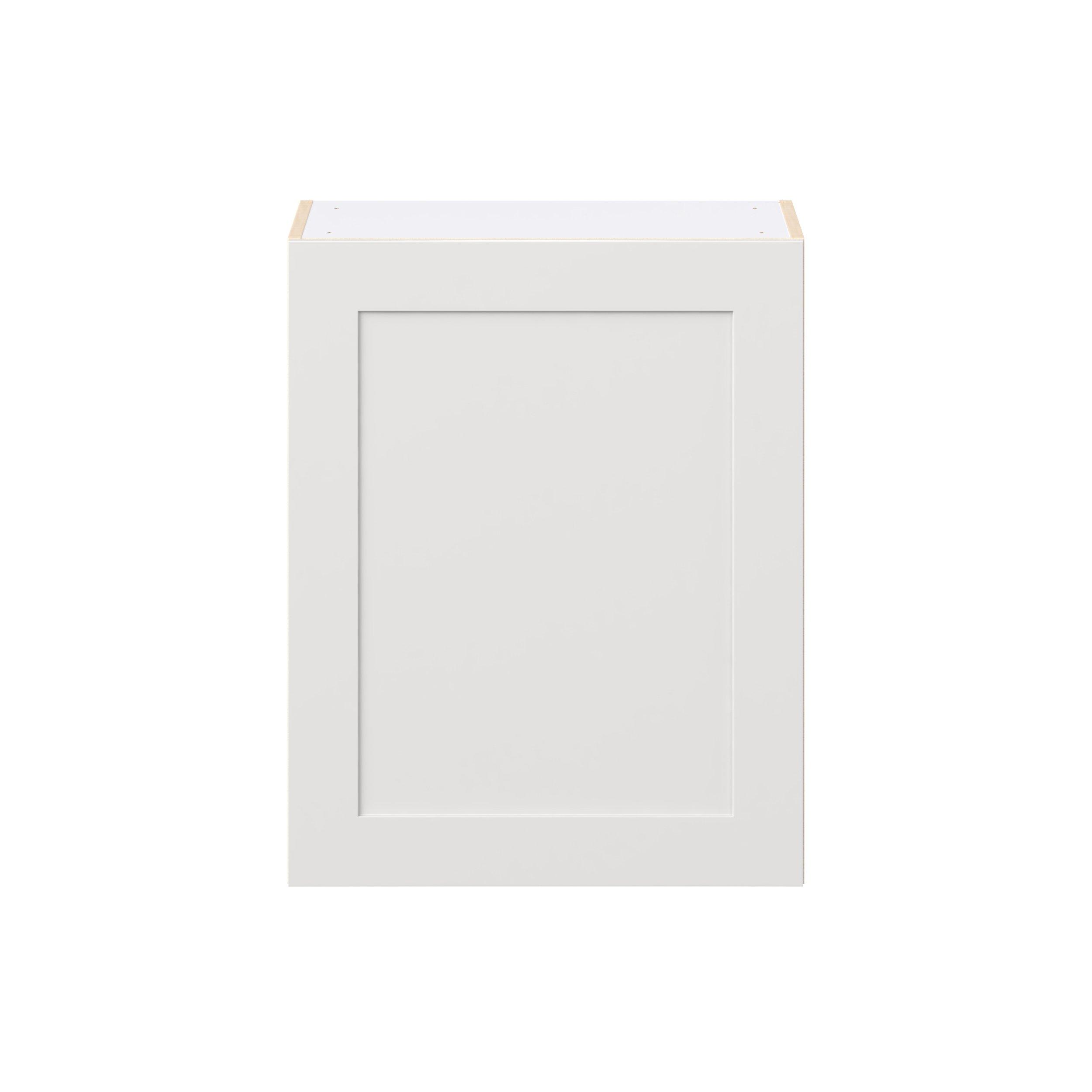 Candler 24 in. Painted Warm White Door Wall Cabinet