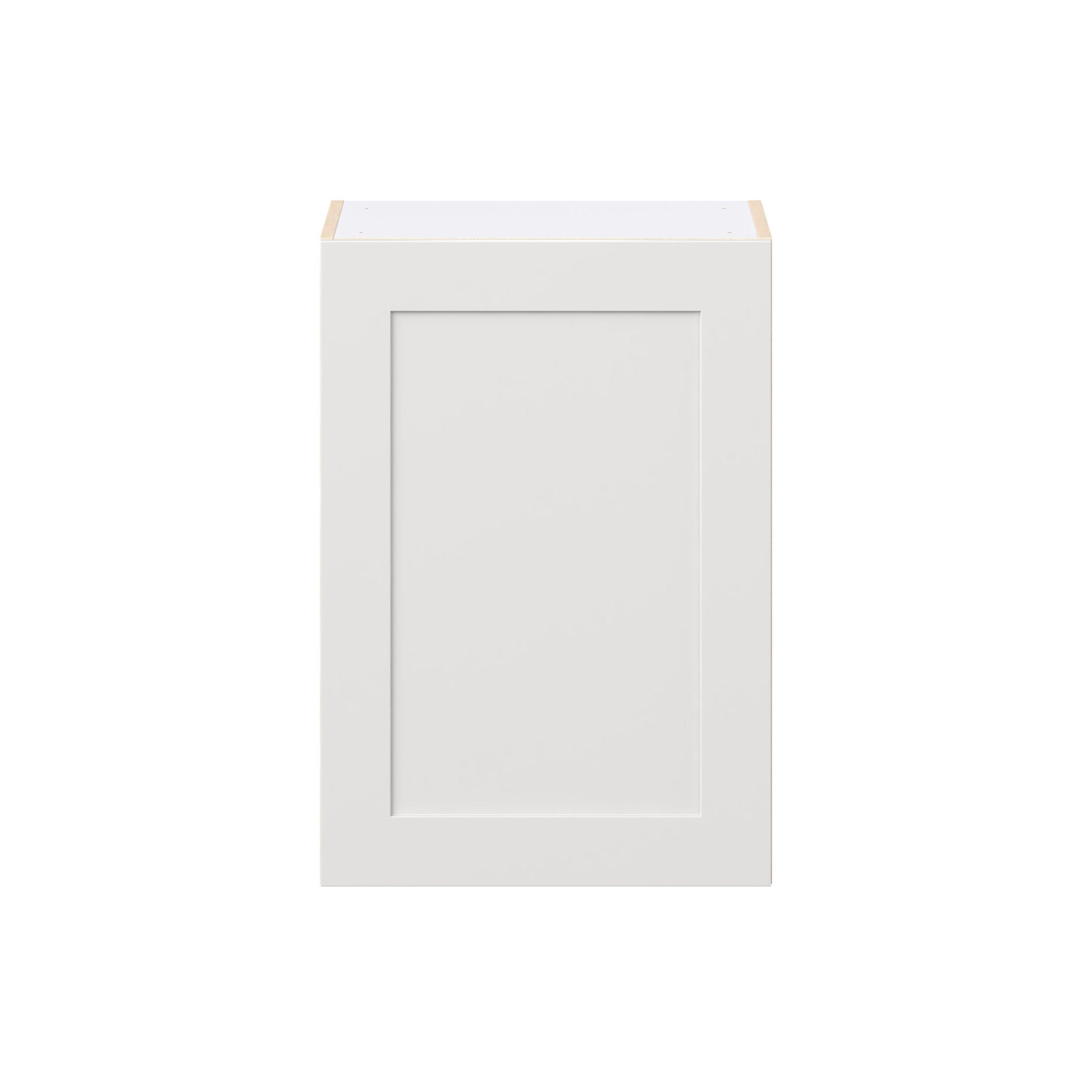 Candler 21 in. Painted Warm White Door Wall Cabinet