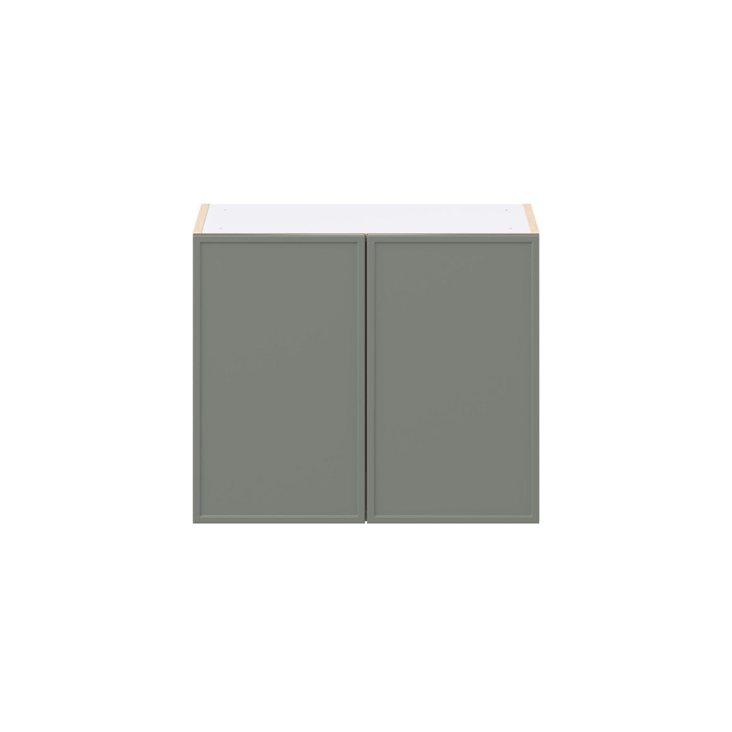 Linden 24 in. Painted Moss Green Bridge Wall Cabinet
