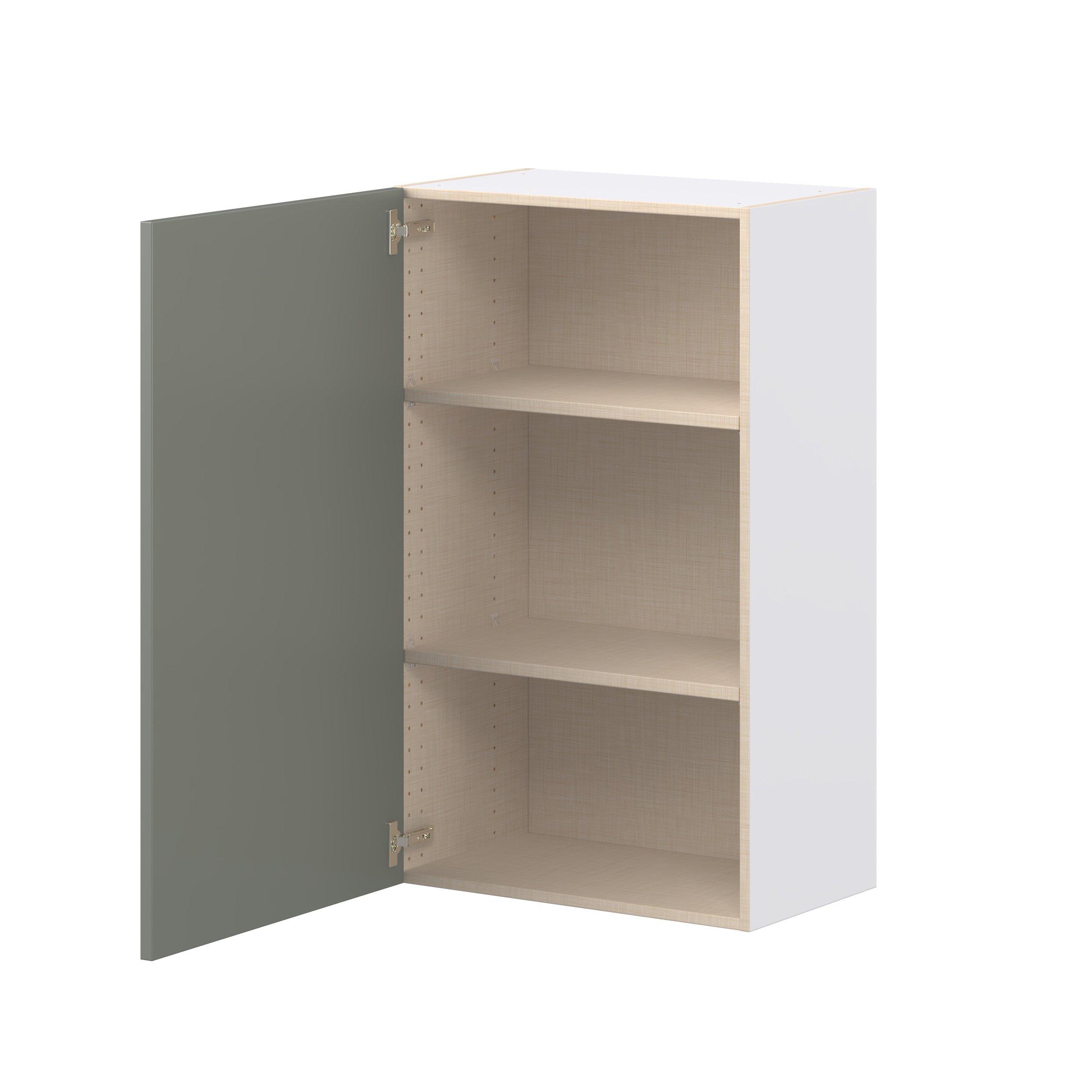 Linden 24 in. Painted Moss Green Door Wall Cabinet