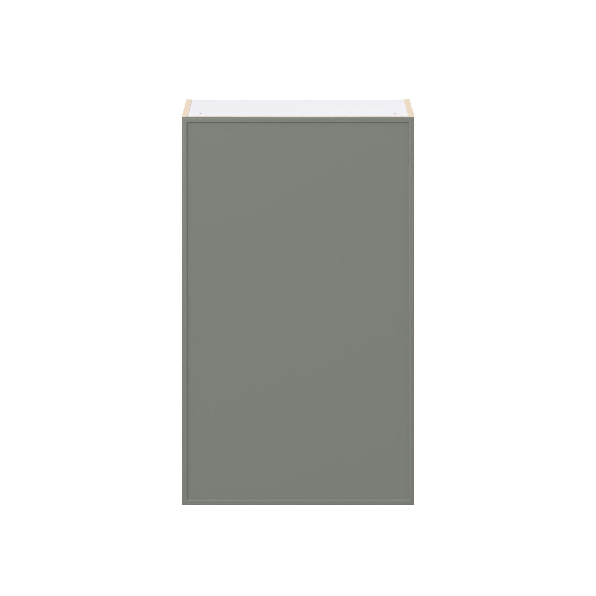 Linden 24 in. Painted Moss Green Door Wall Cabinet
