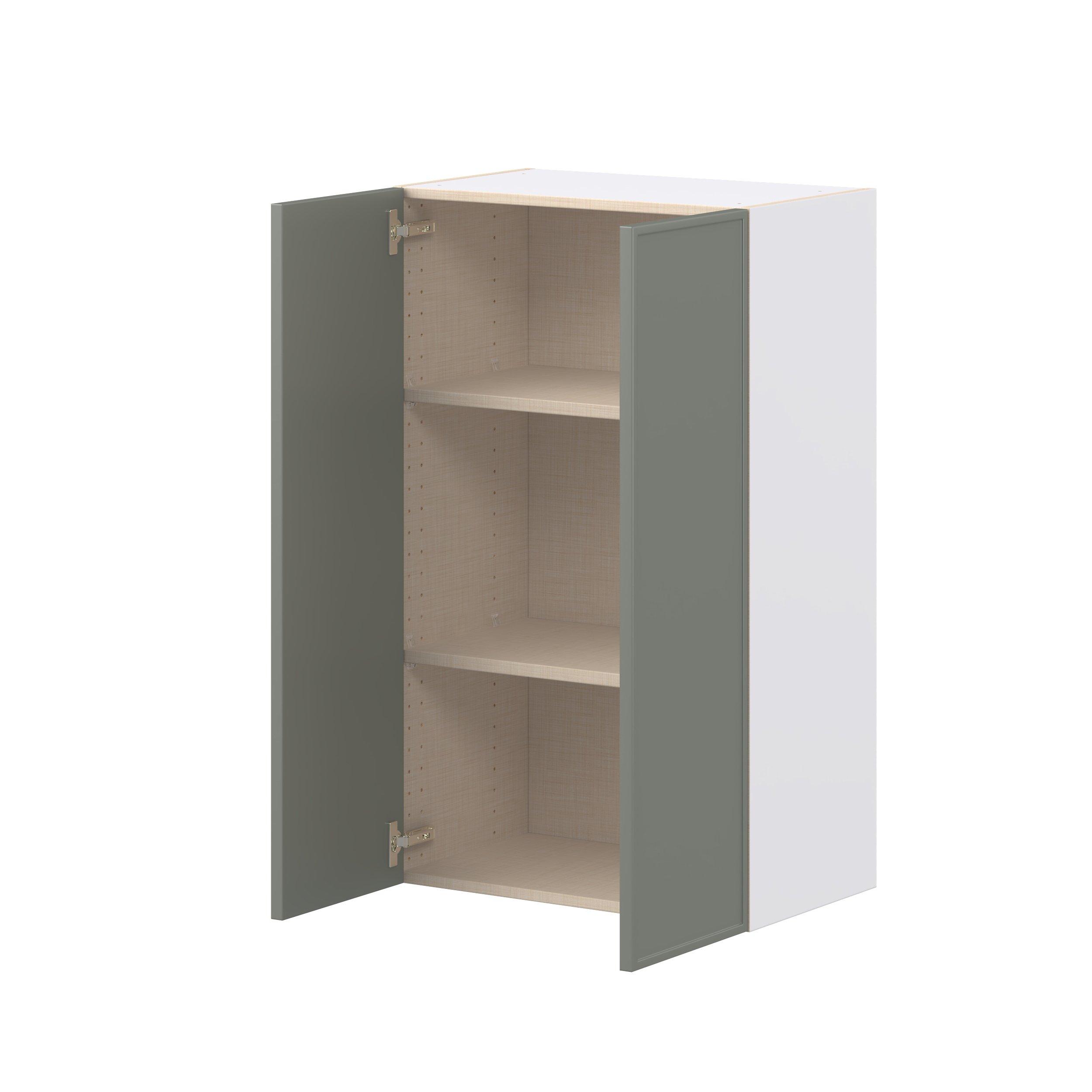 Linden 24 in. Painted Moss Green Door Wall Cabinet