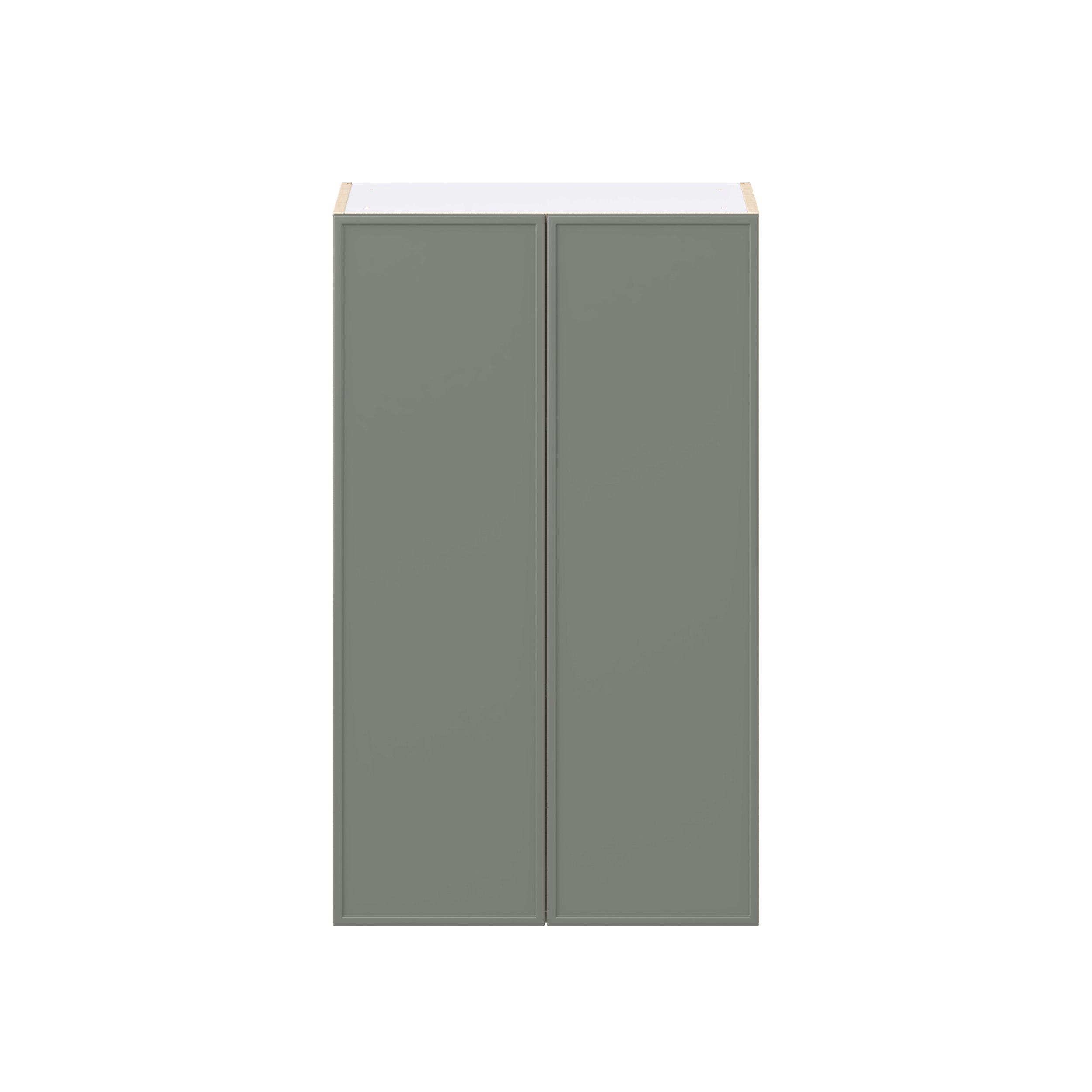 Linden 24 in. Painted Moss Green Door Wall Cabinet