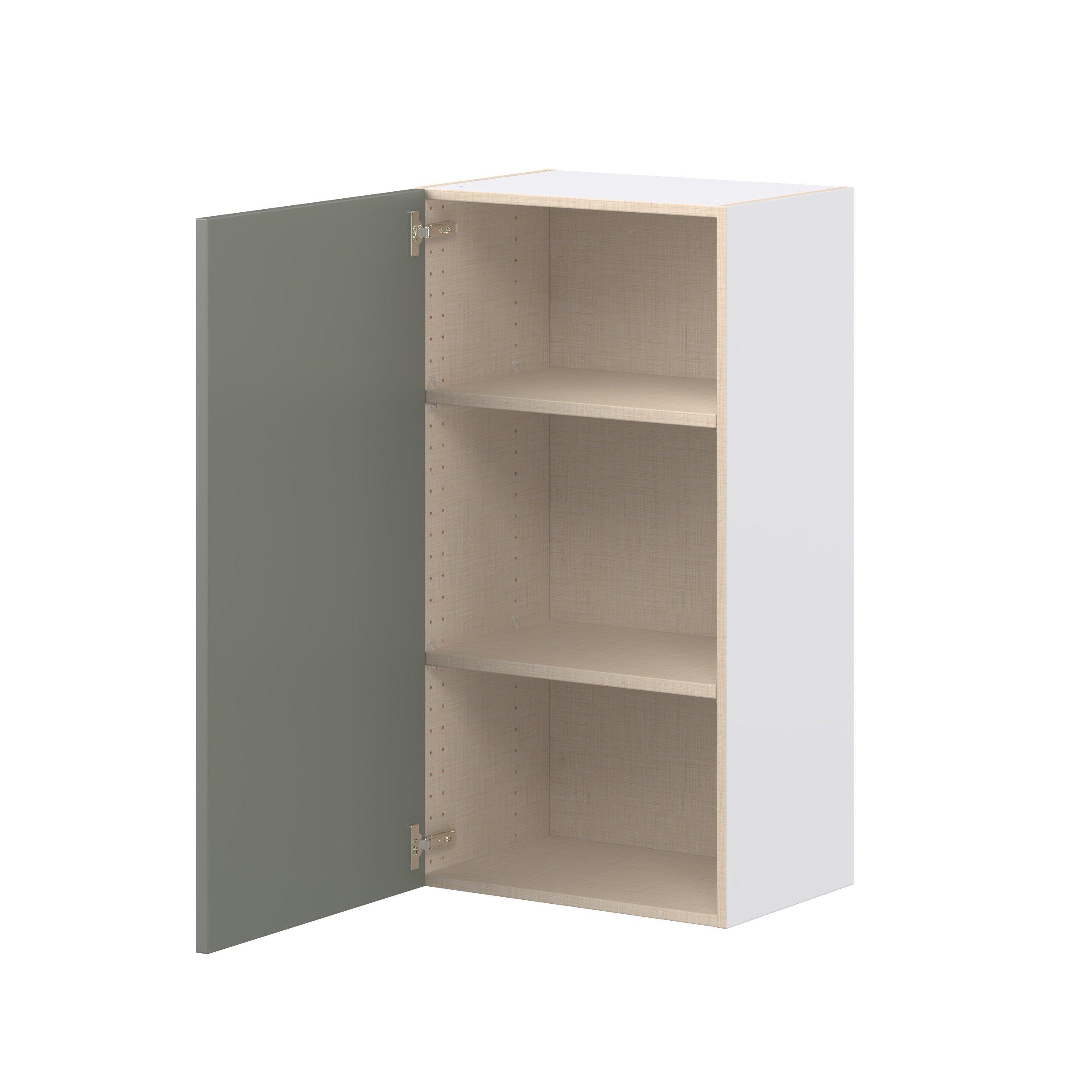 Linden 21 in. Painted Moss Green Door Wall Cabinet