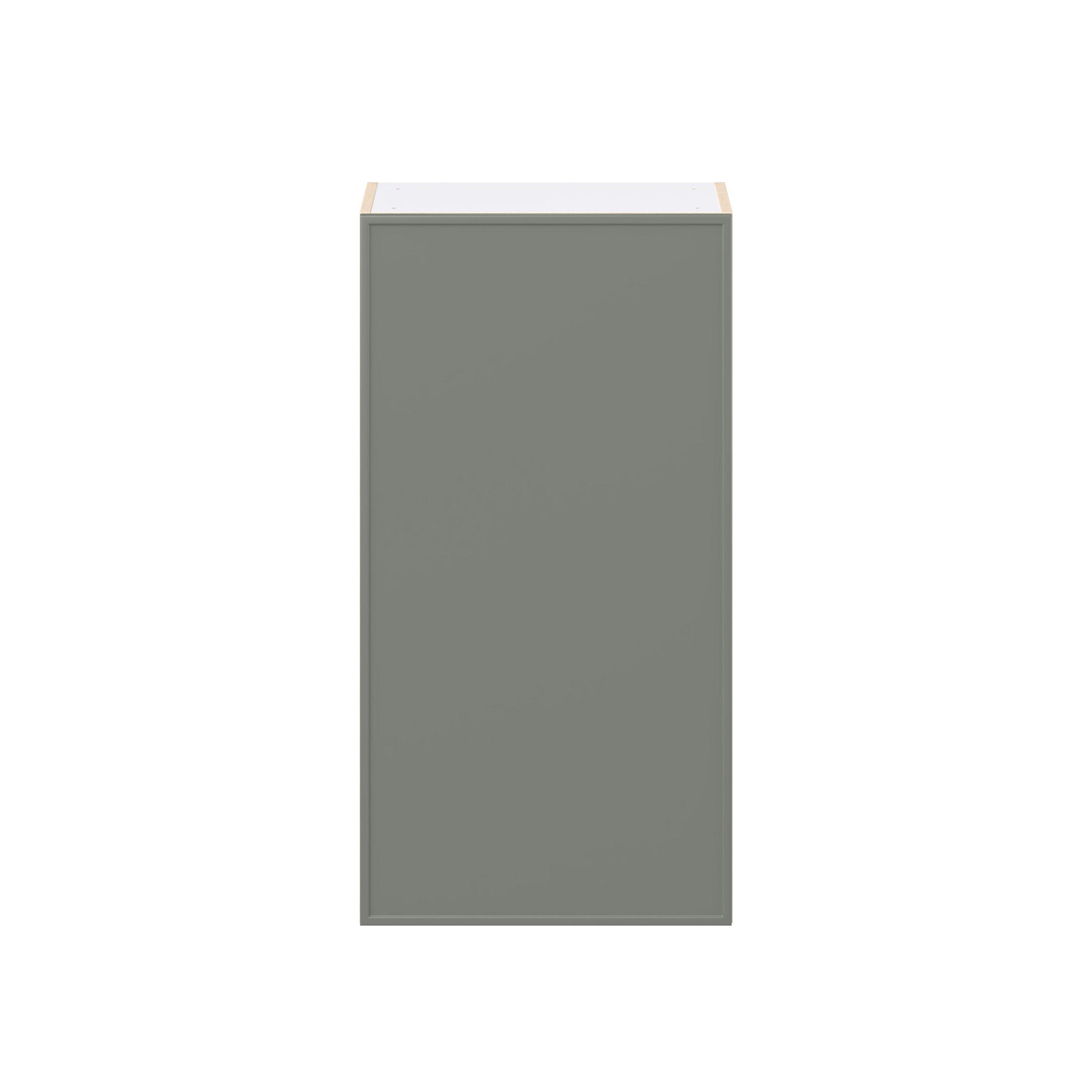 Linden 21 in. Painted Moss Green Door Wall Cabinet