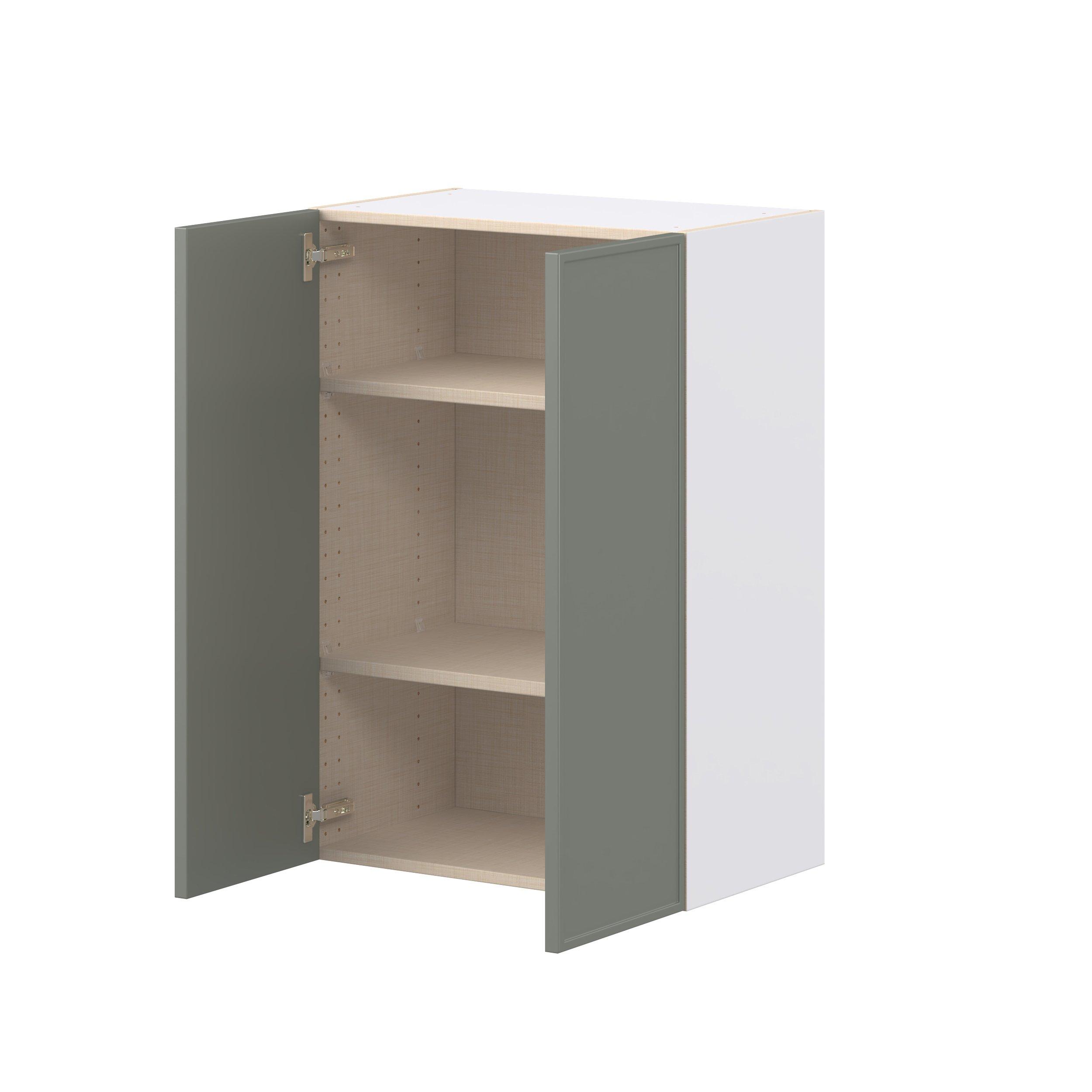 Linden 24 in. Painted Moss Green Door Wall Cabinet