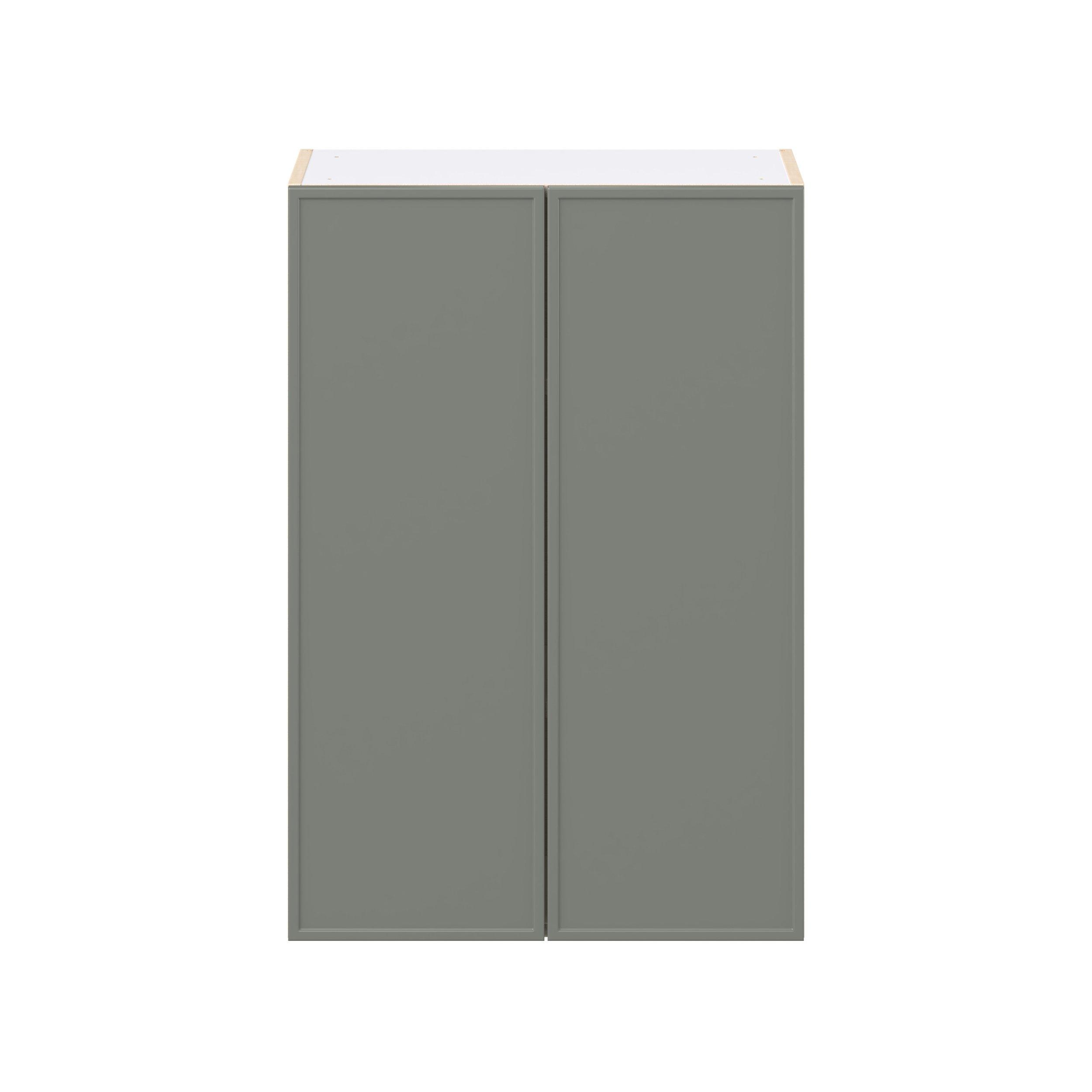 Linden 24 in. Painted Moss Green Door Wall Cabinet