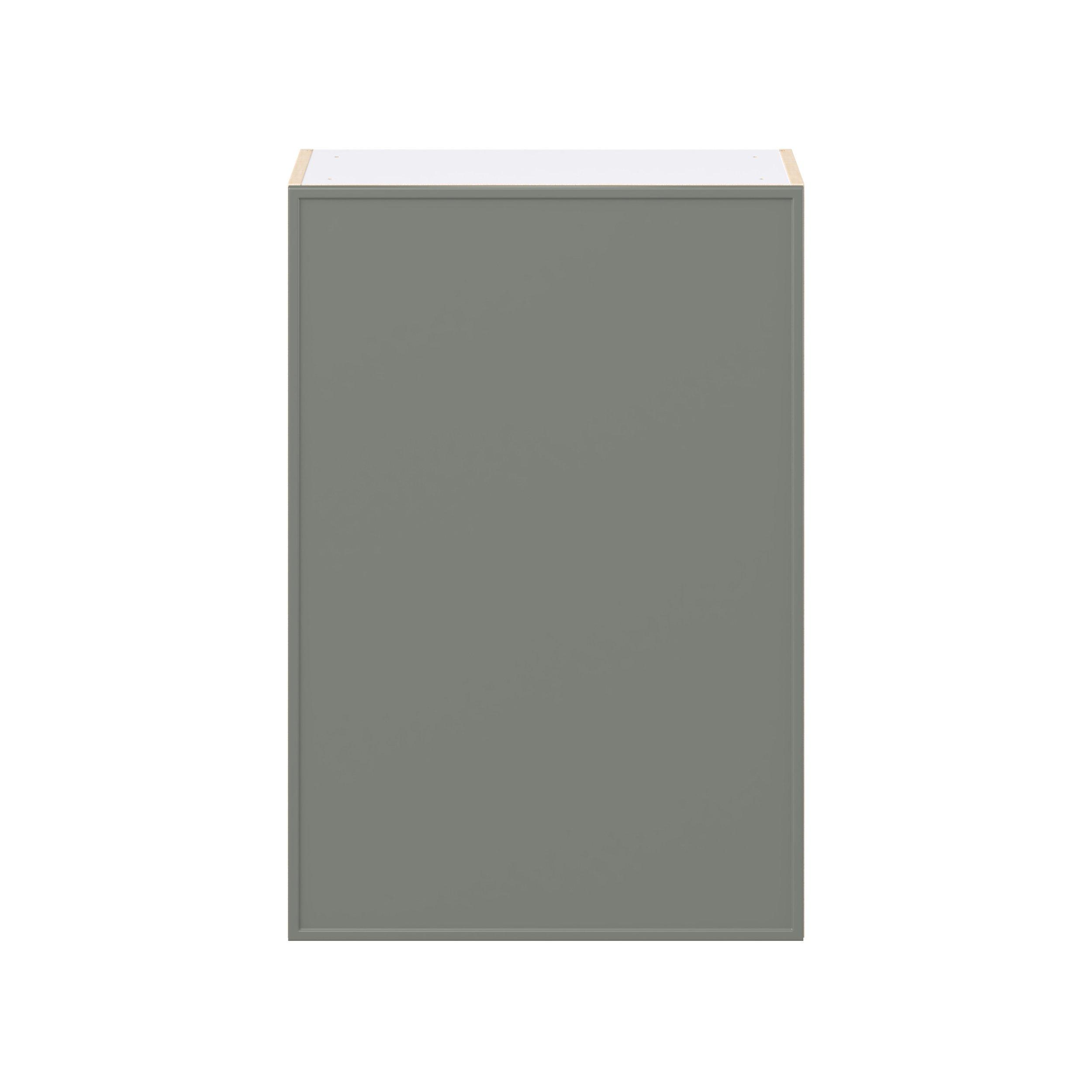 Linden 24 in. Painted Moss Green Door Wall Cabinet