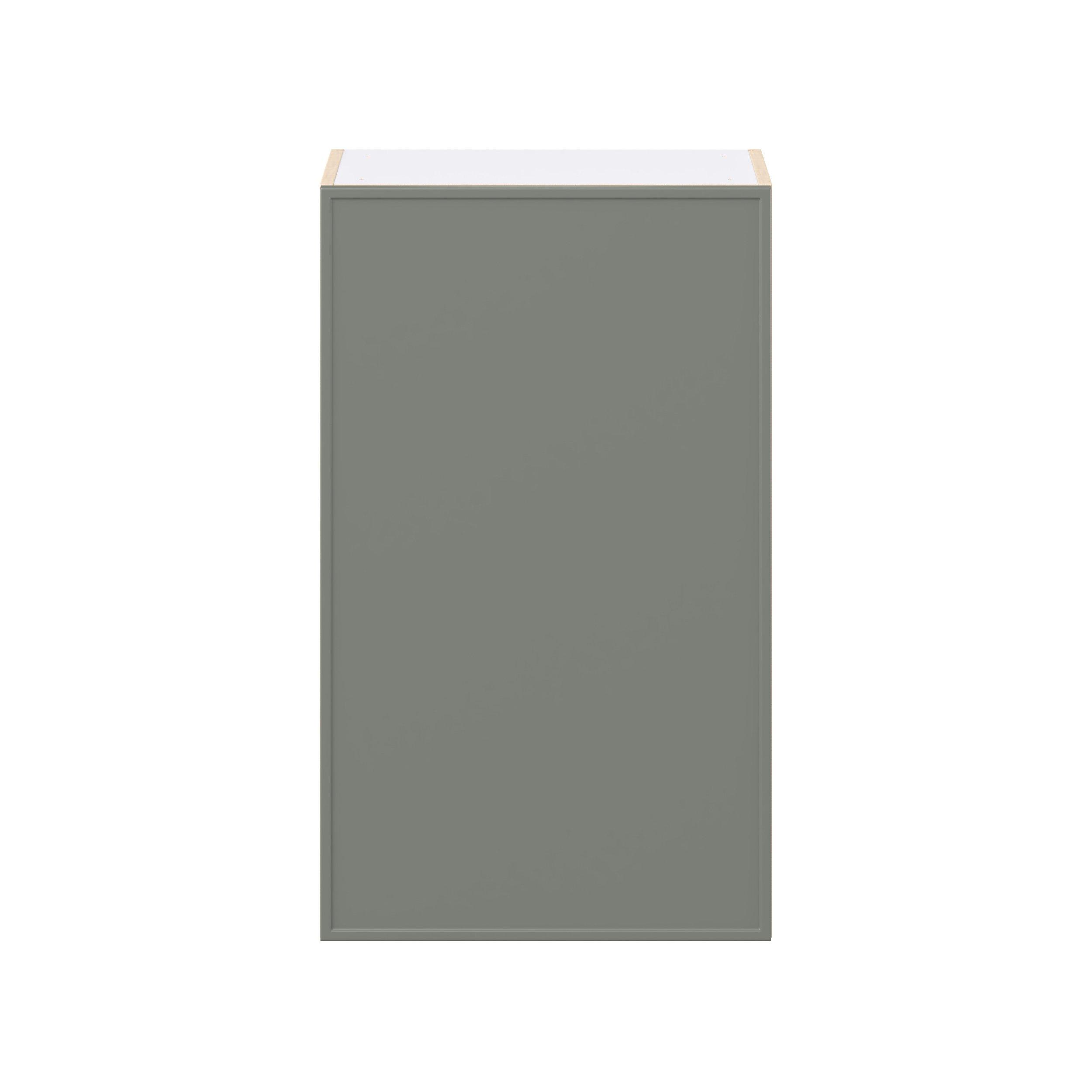 Linden 21 in. Painted Moss Green Door Wall Cabinet