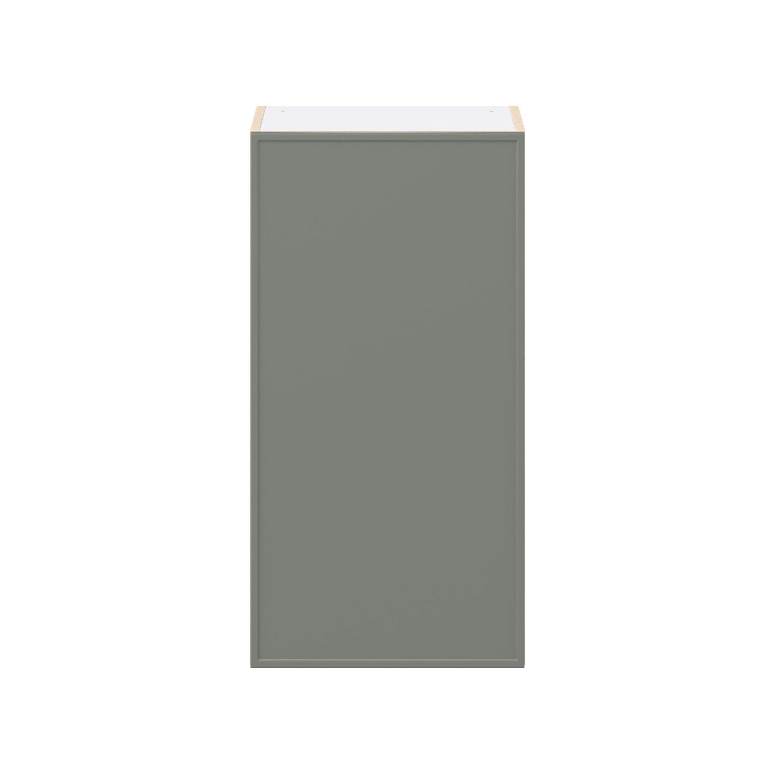 Linden 18 in. Painted Moss Green Door Wall Cabinet