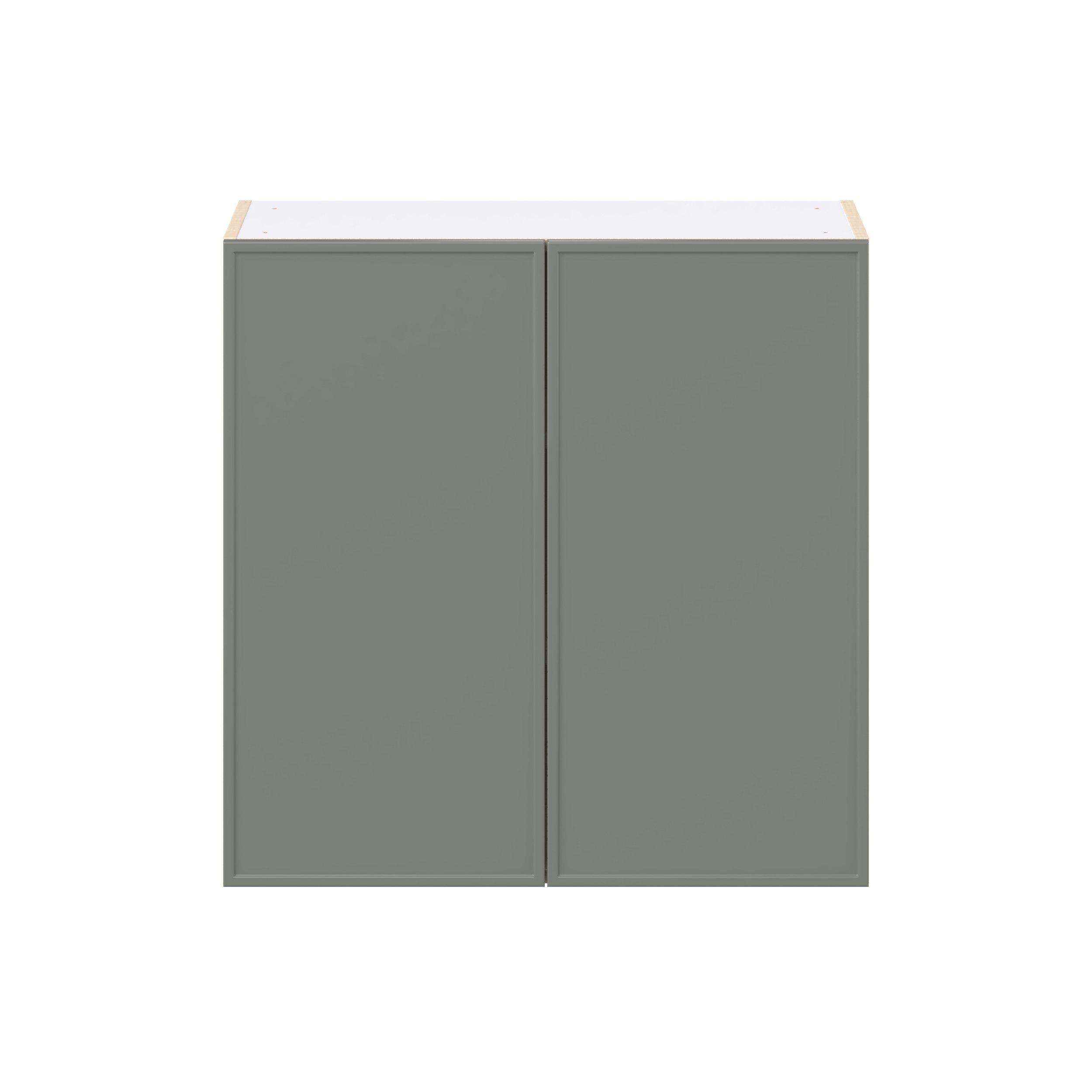 Linden 30 in. Painted Moss Green Door Wall Cabinet