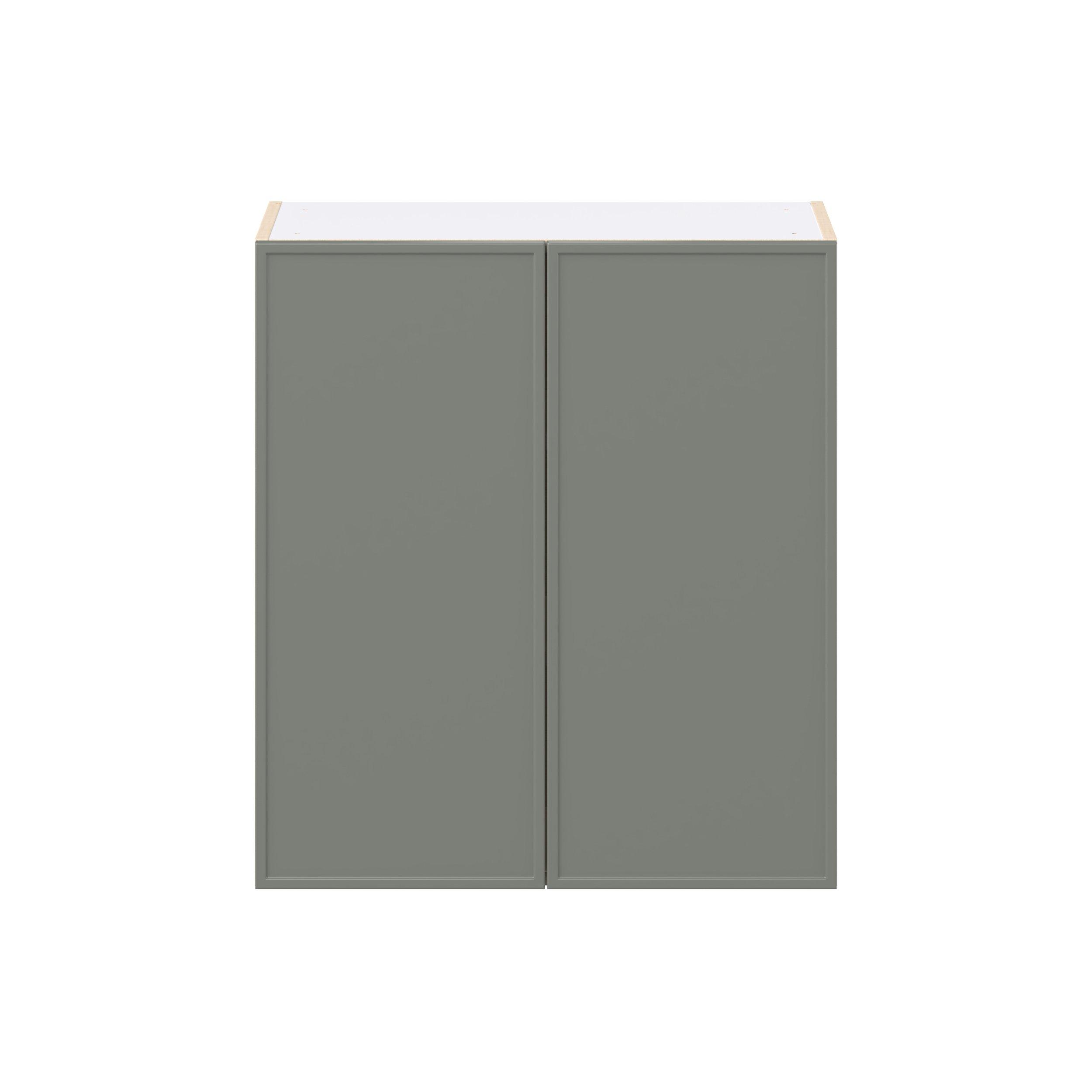 Linden 27 in. Painted Moss Green Door Wall Cabinet