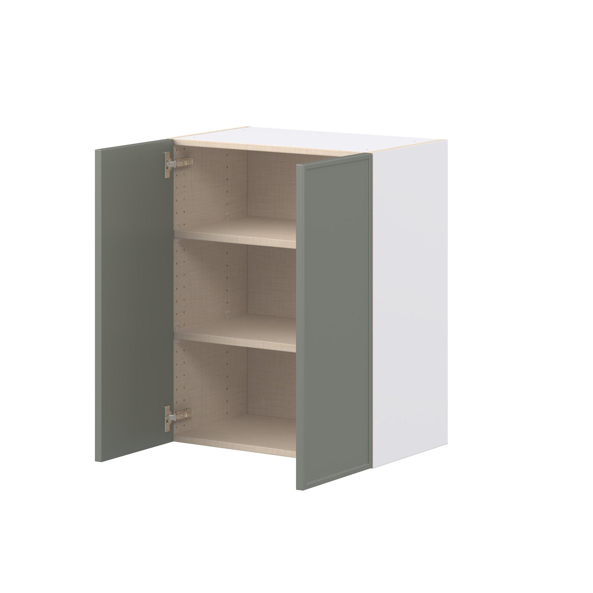 Linden 24 in. Painted Moss Green Door Wall Cabinet