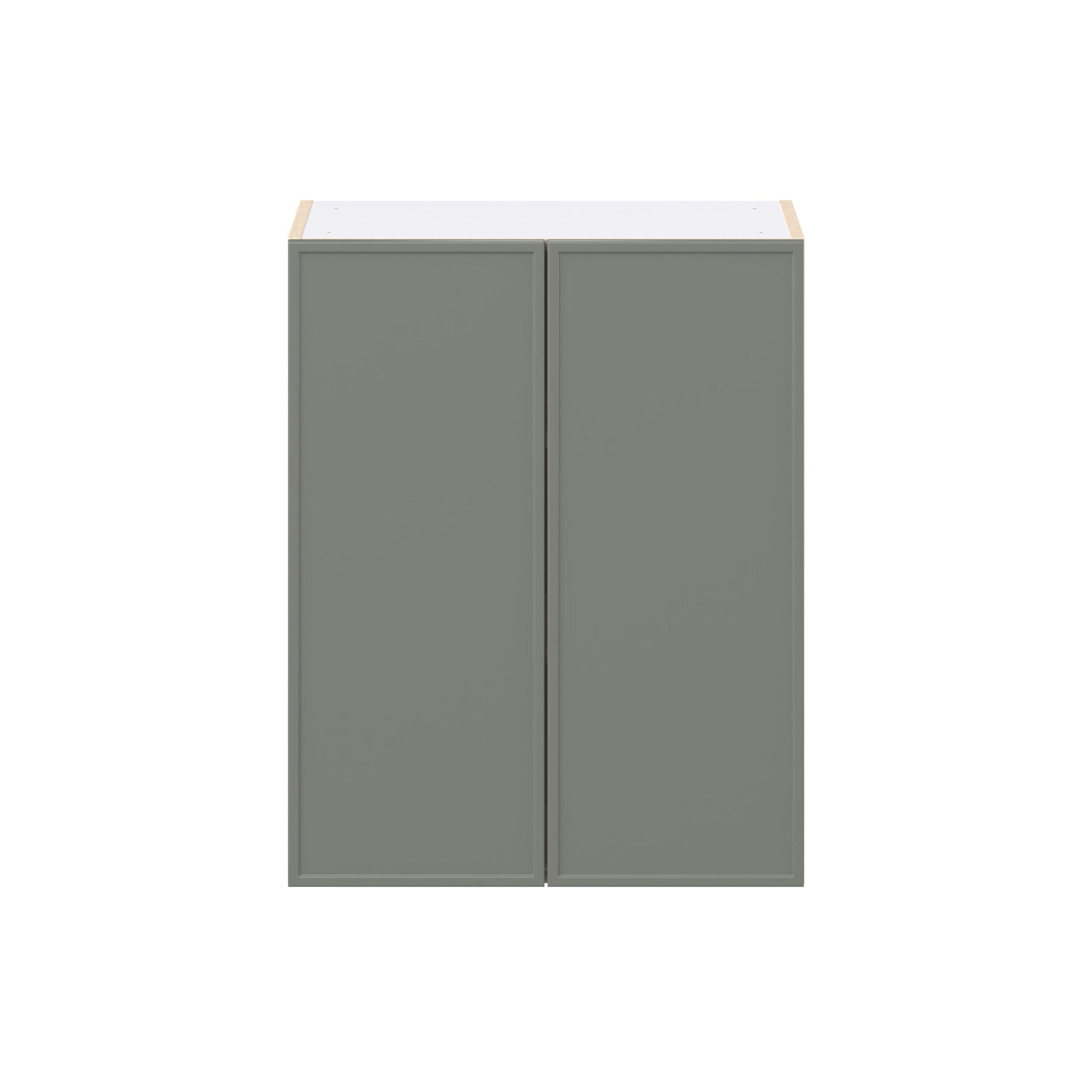 Linden 24 in. Painted Moss Green Door Wall Cabinet