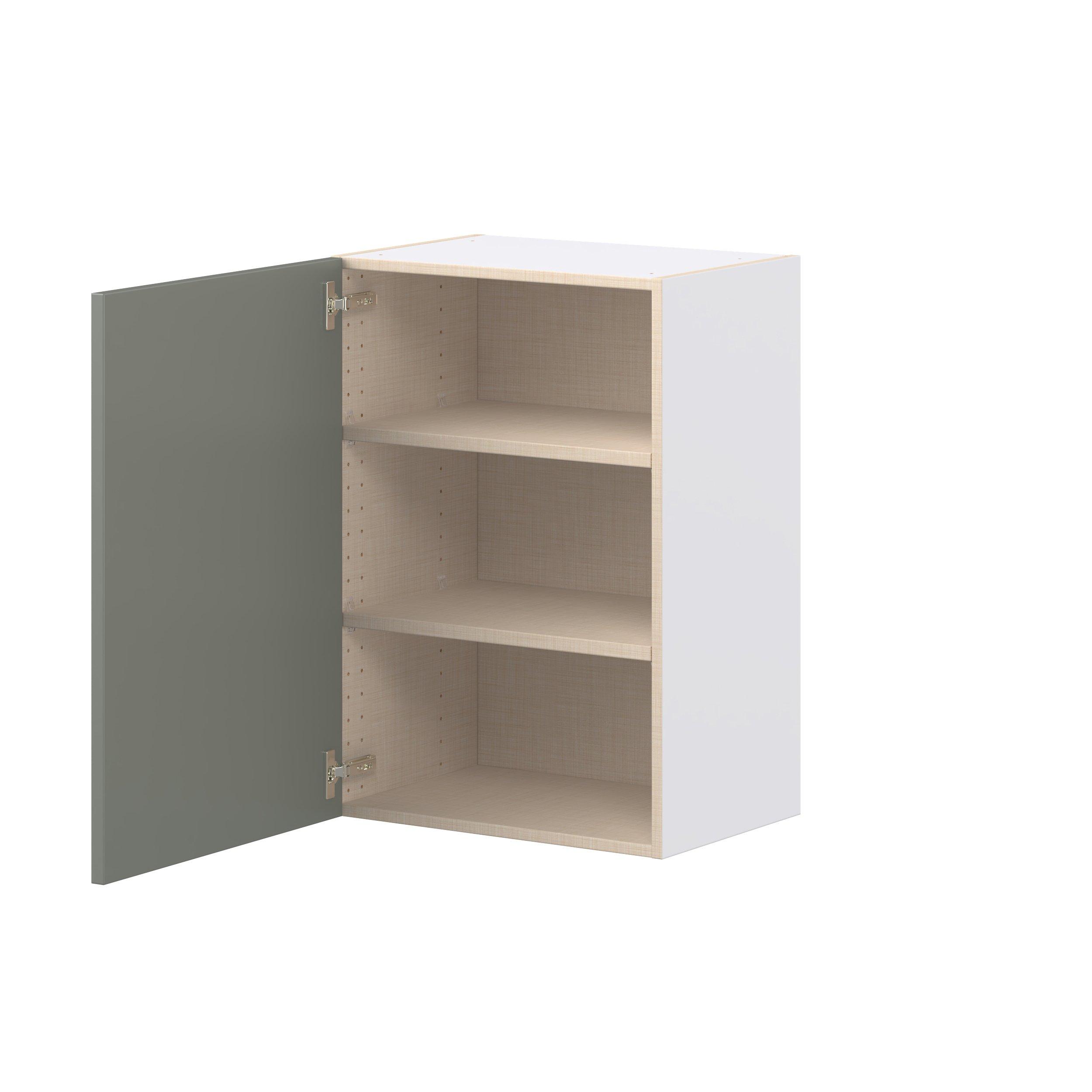 Linden 21 in. Painted Moss Green Door Wall Cabinet